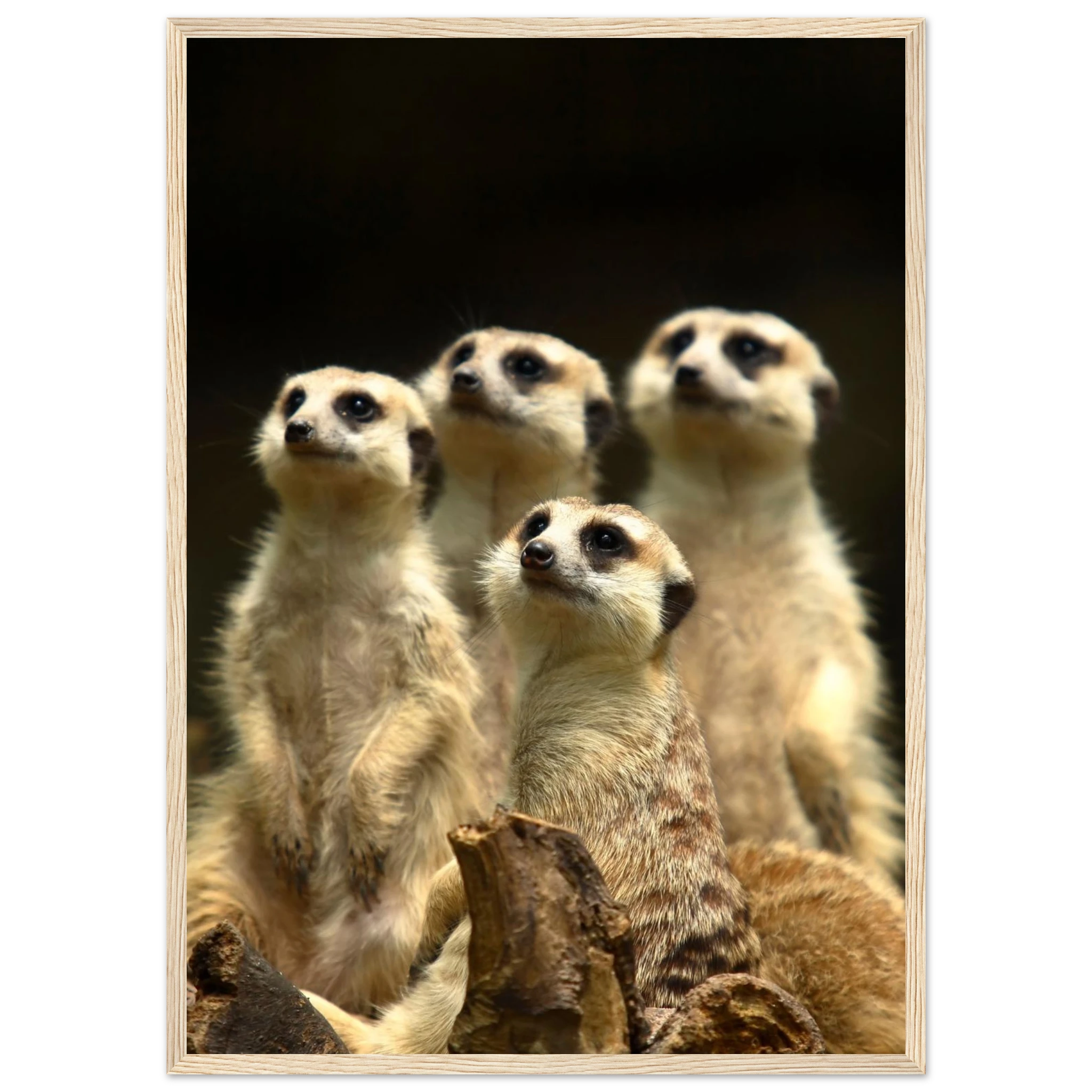 b0876e59-5c04-4e8e-ab14-61881eabda41