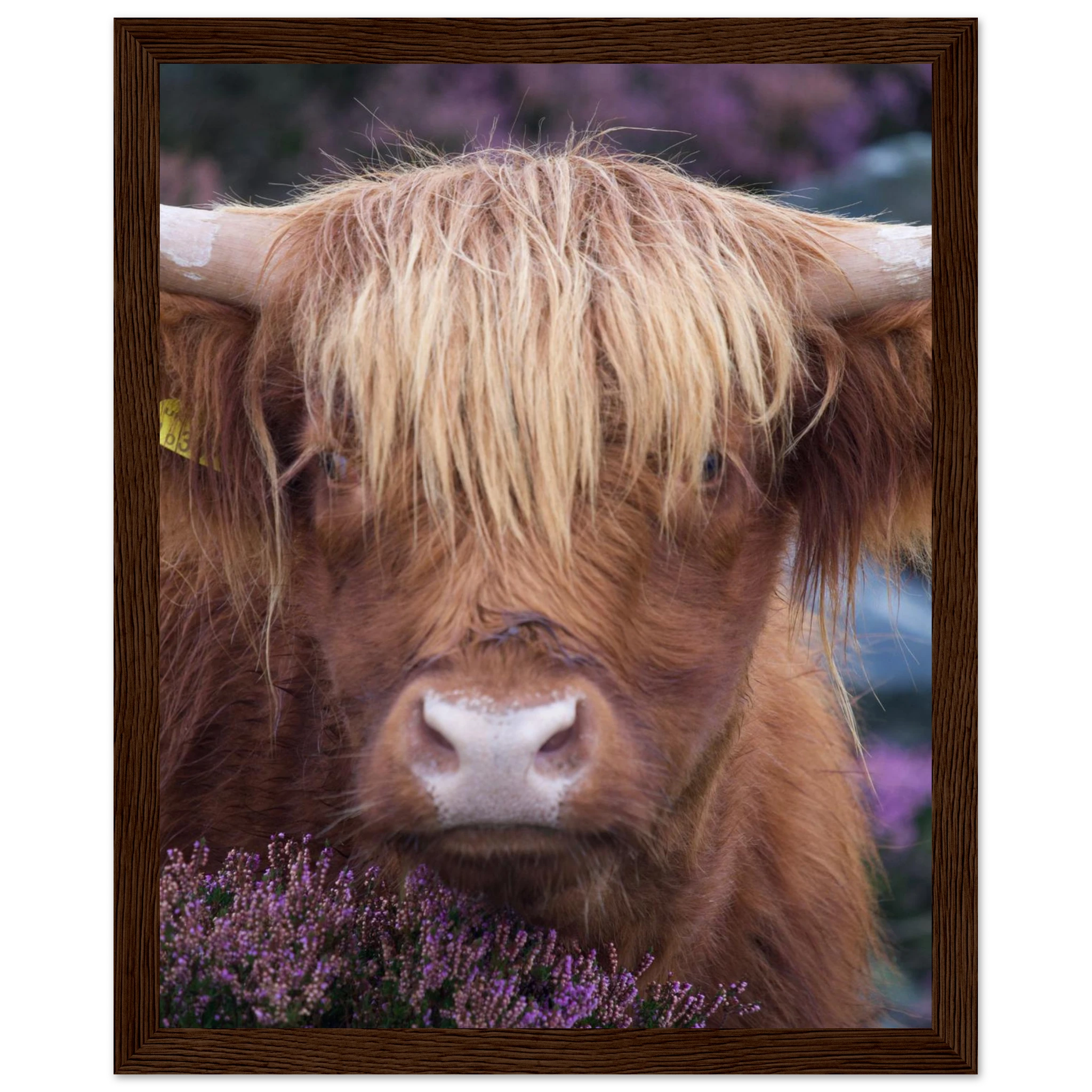 b0912ea3-3210-48c0-80cf-c66709f2c7ca