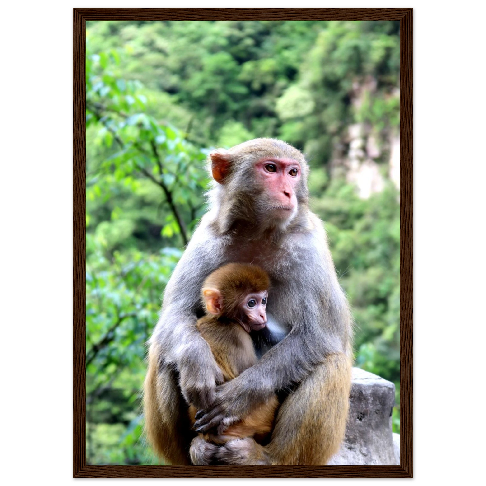 b098eec3-a6b4-40db-9c28-74264be2b7d1