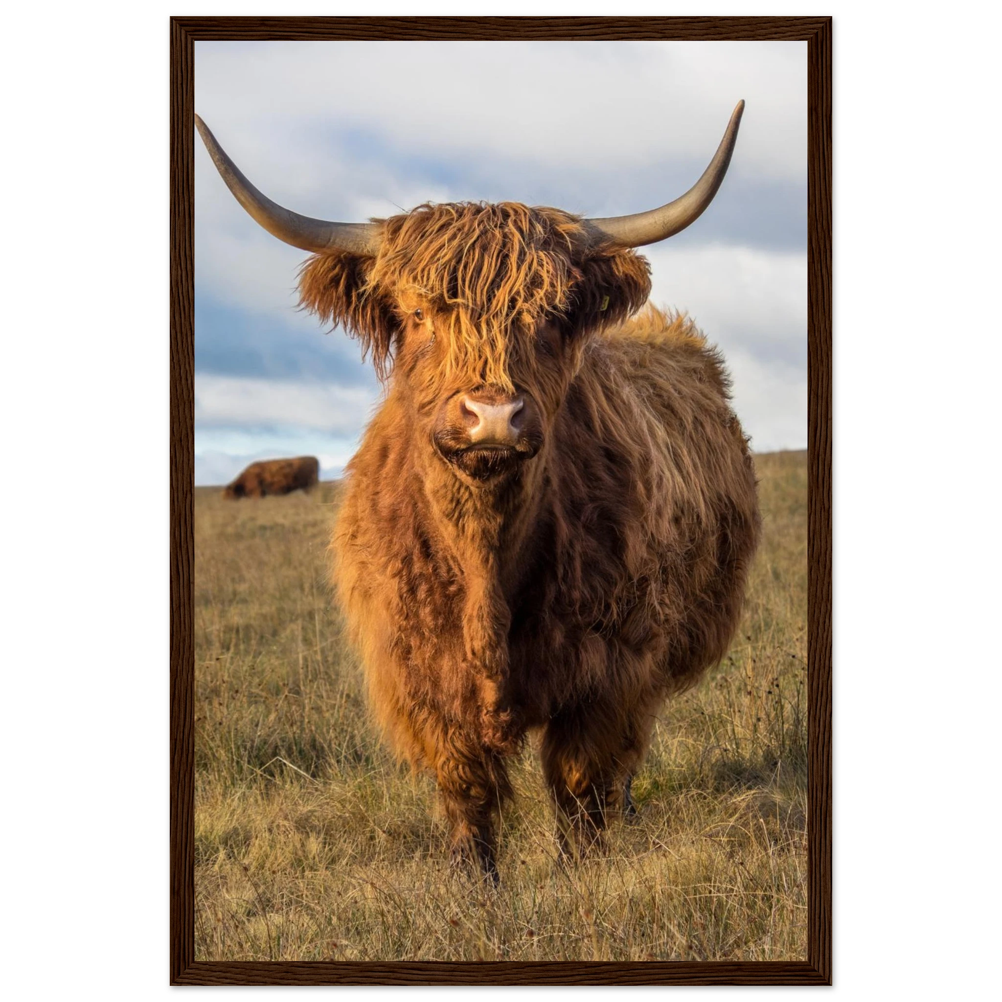 b09d2e53-a53a-4578-afa8-95035392ecb9