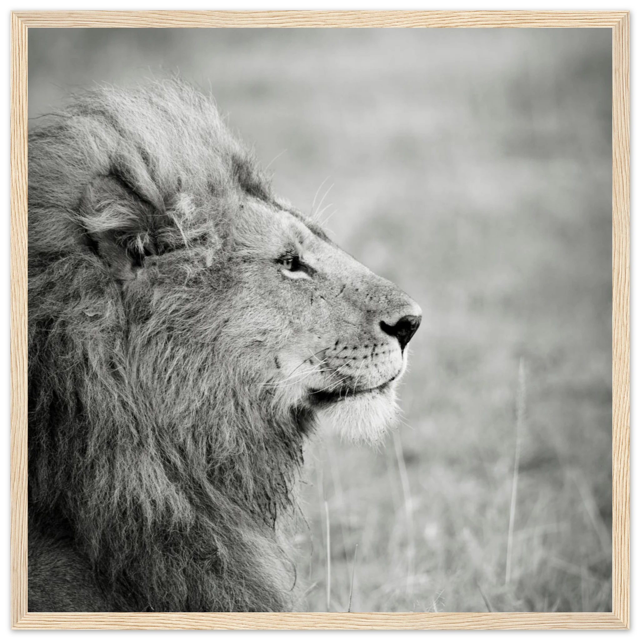 b0cf1b10-f9aa-4323-89dc-d679f4552d69