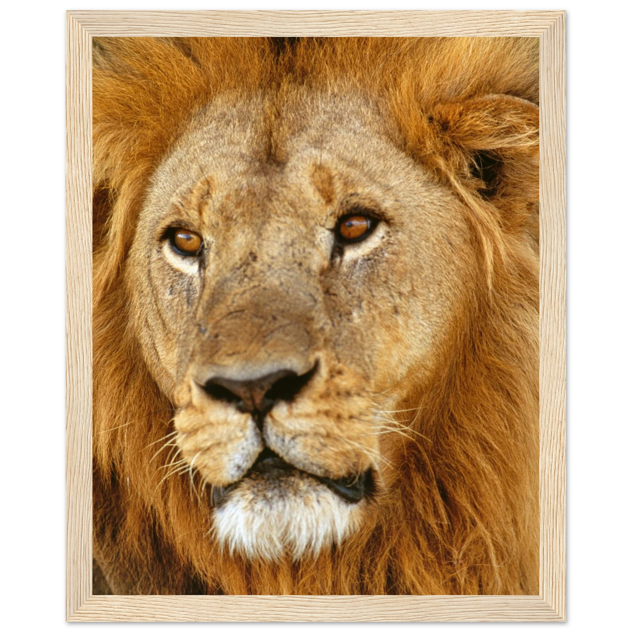 b0daeeee-32b7-4cb1-899a-89ac09799c1d