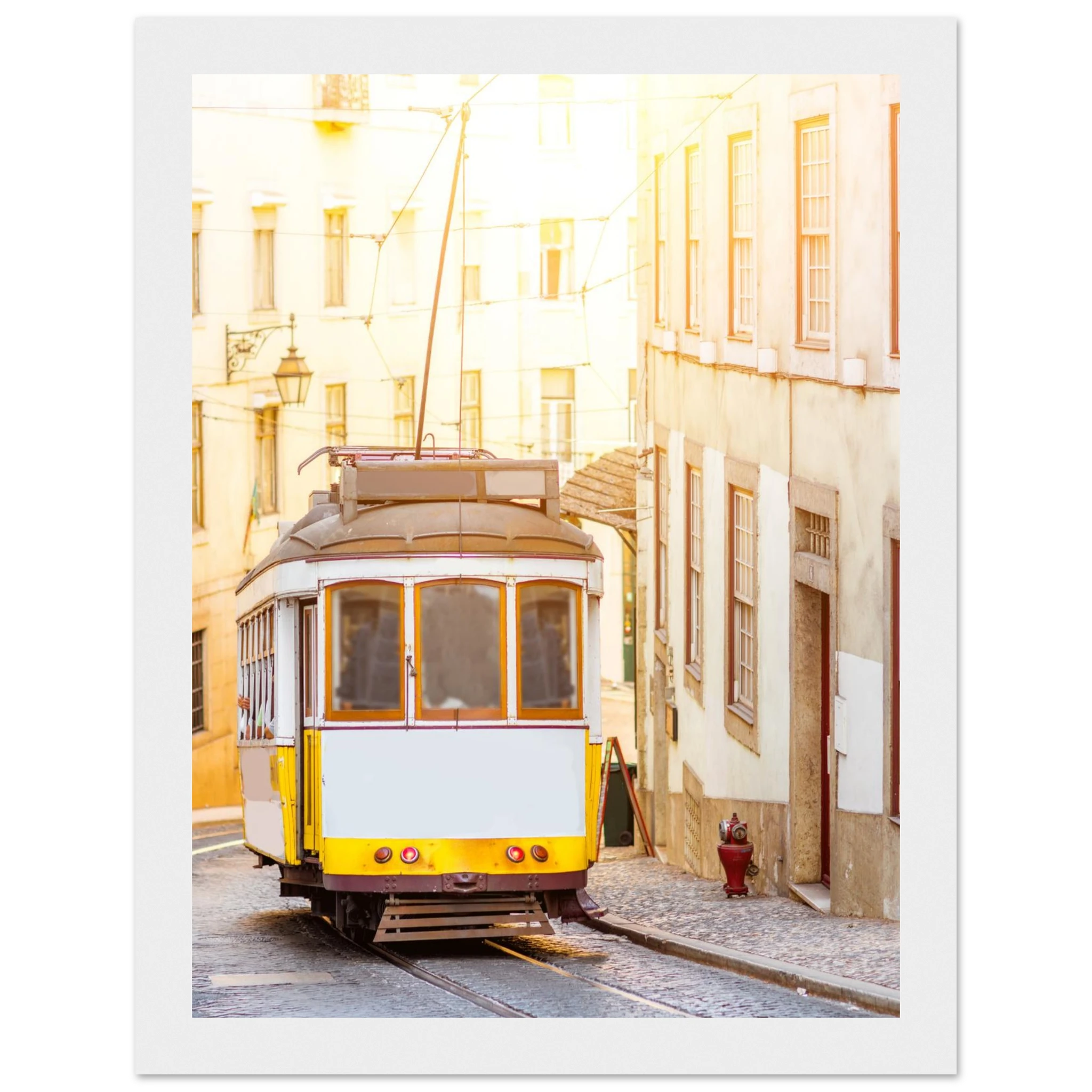 b1059db9-11b2-4c0e-aa3a-3d1616b9e7aa