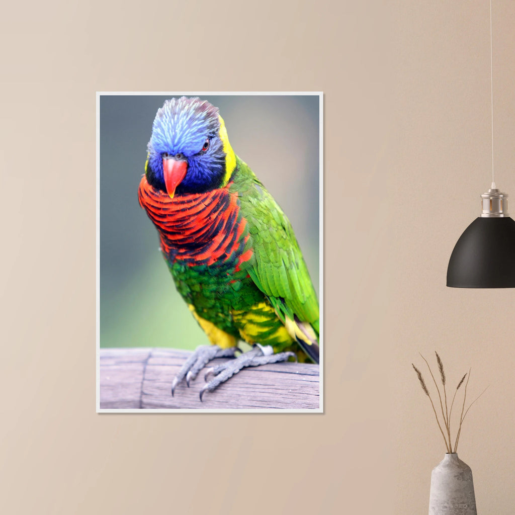 b1160255-44c4-44a5-a43f-31c803df1edb