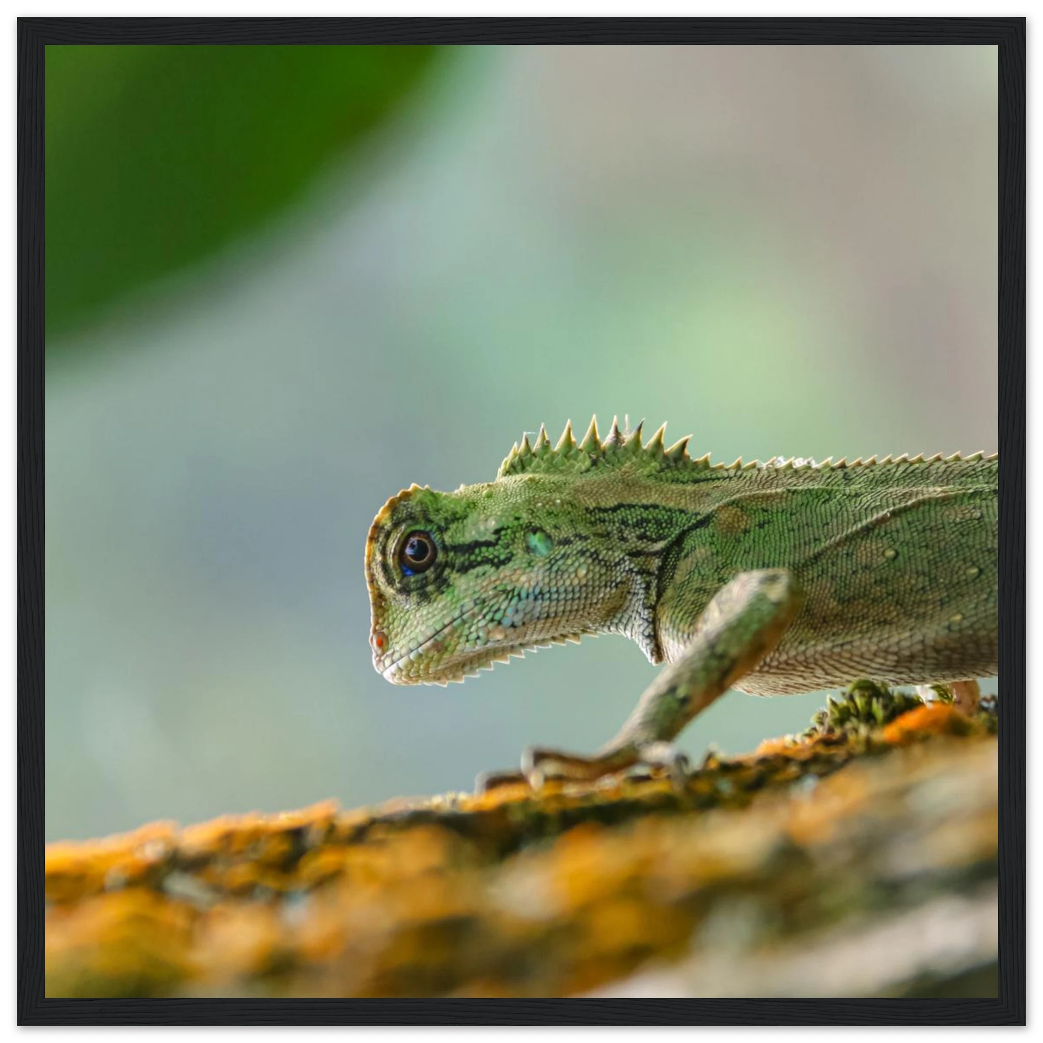 b11fea71-deef-4f89-8497-fb7496c7e373