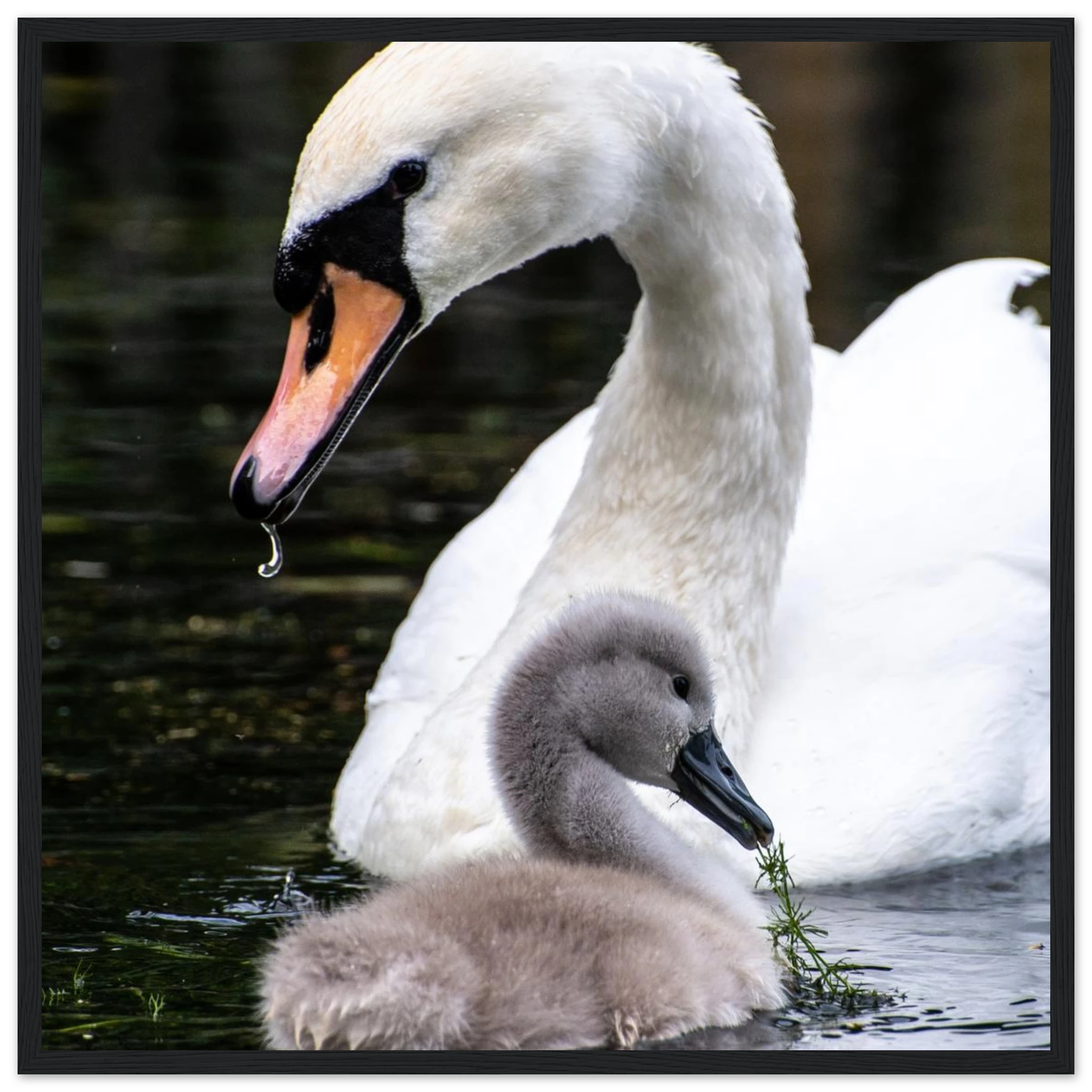 b130ba2f-2683-4cbf-b3f3-e01747a1696d