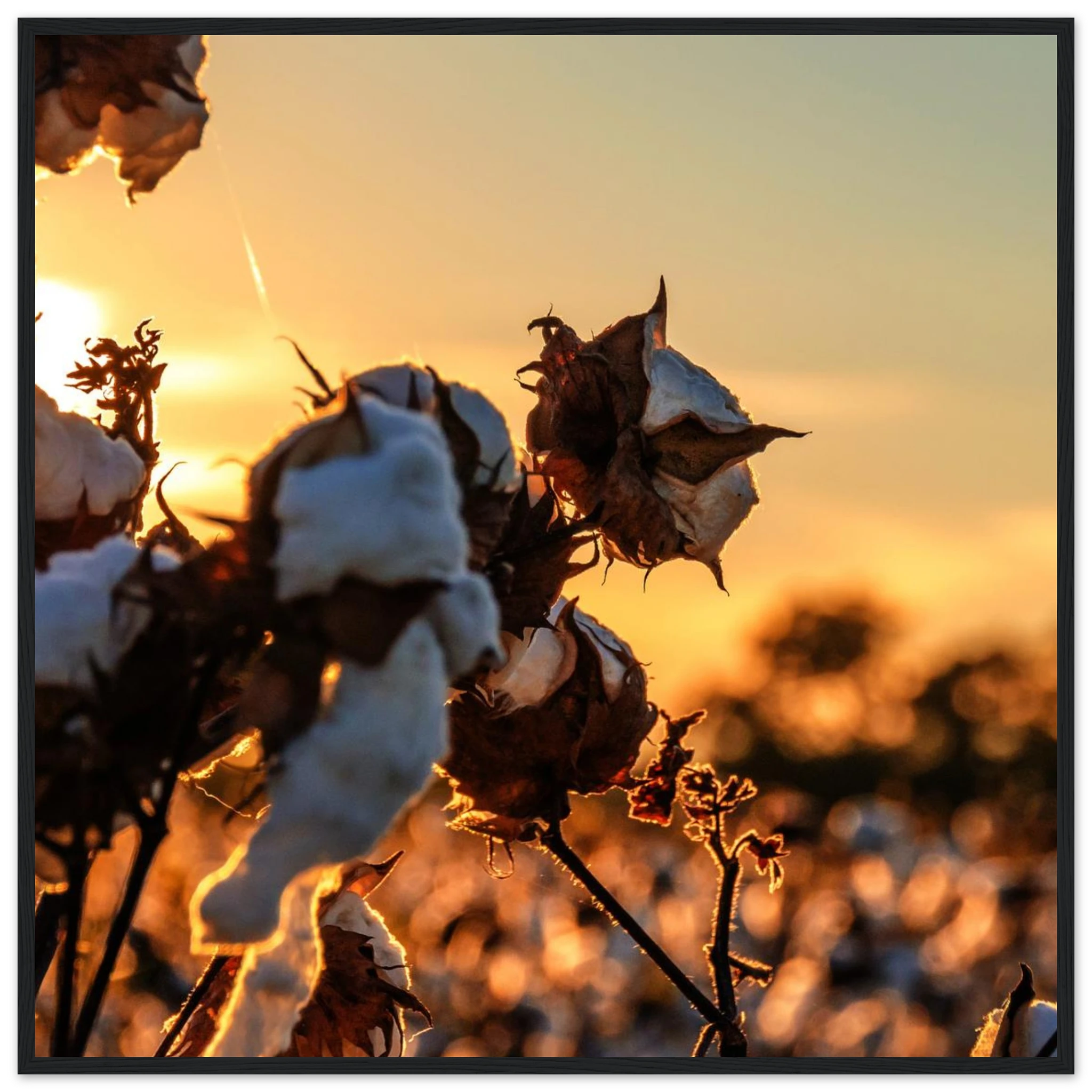 b1412617-a439-4cc2-a616-1ee0e770e80d