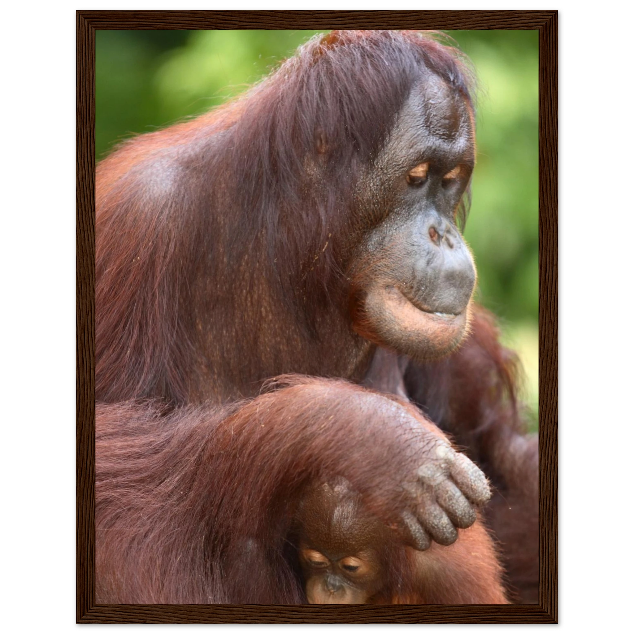 b141fd02-d727-42db-9332-748f6fd91525