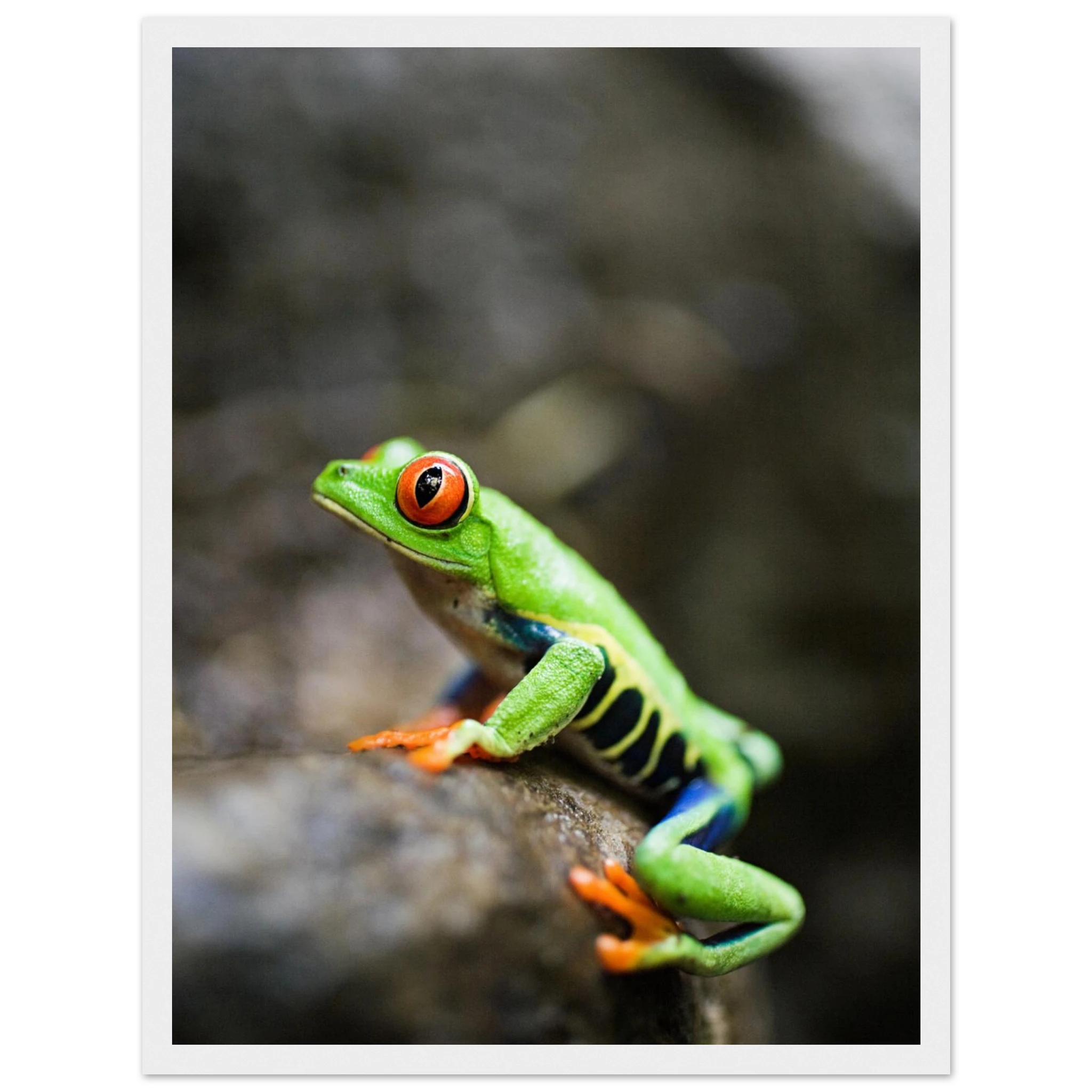 b14e6fad-e8f6-4c9b-872e-e00d8e385a83