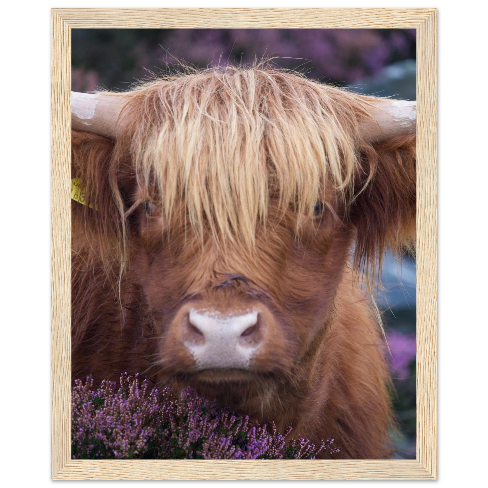 b18f7b0d-d333-4ea6-9227-387abd10ddc8