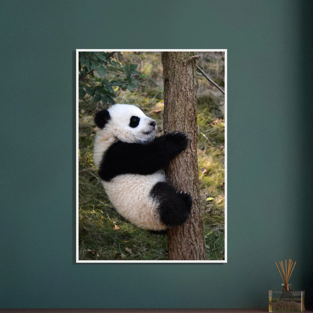 b191299f-7abc-48c6-aea7-009be5fd7353