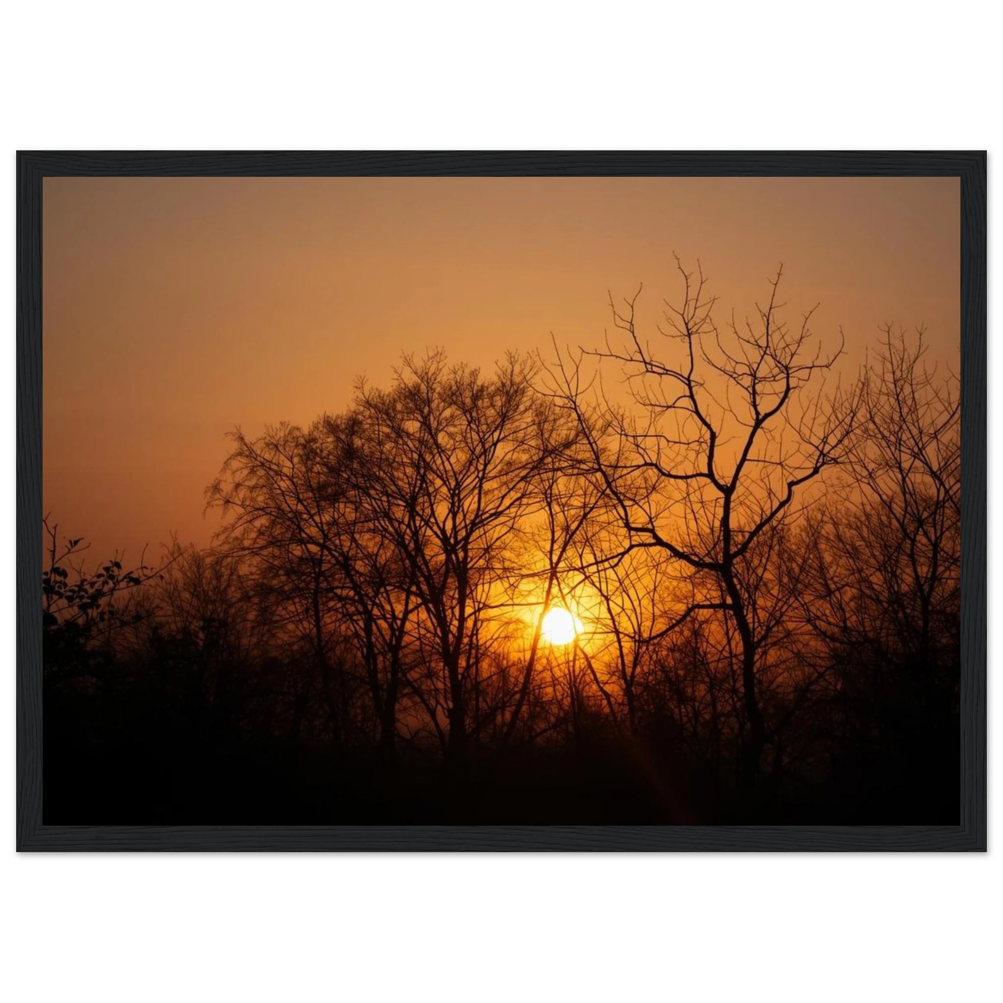 b1bc56bc-6d03-4f4e-8037-060ff0f37309