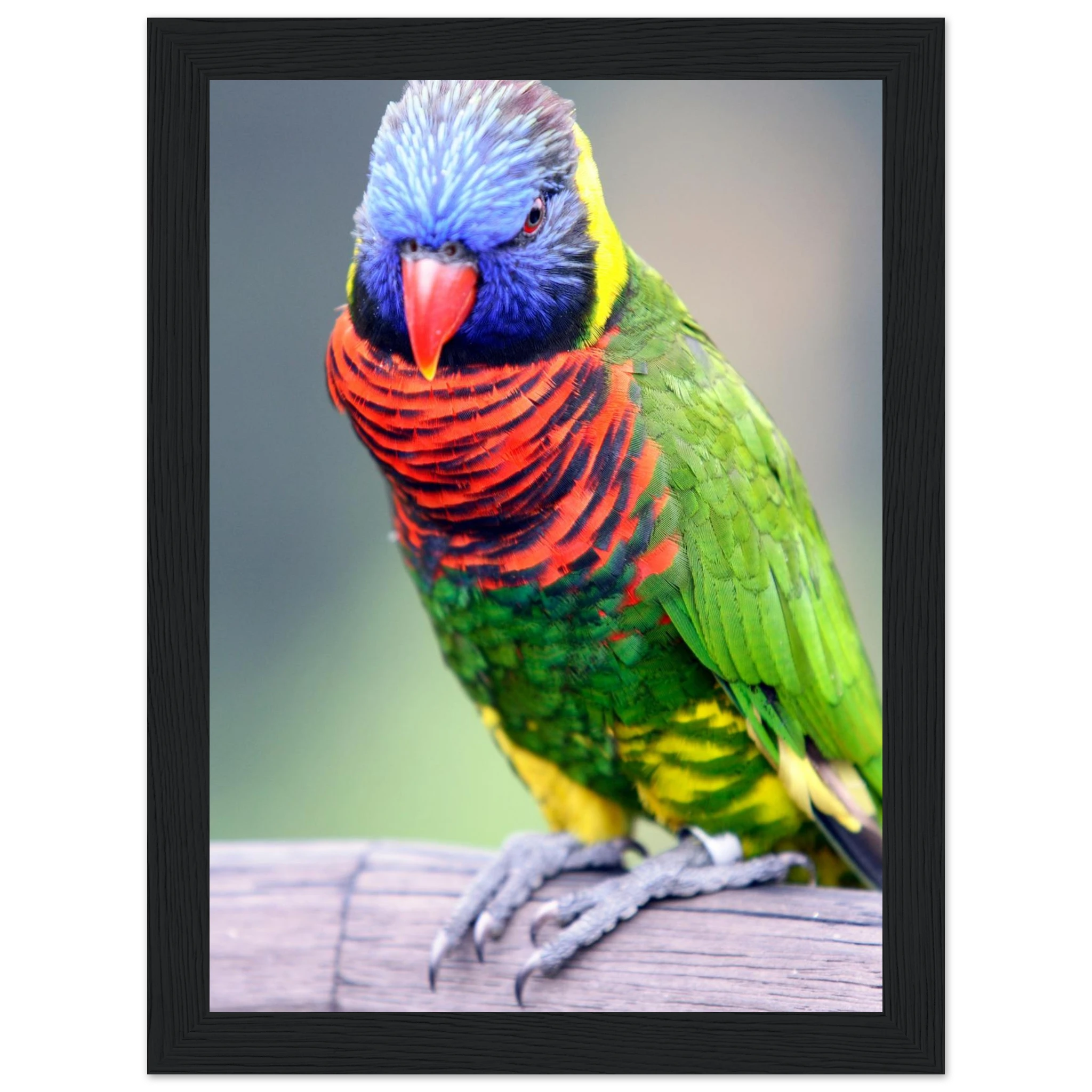 b1c818c1-4628-4e97-a4de-afec5941cd2f