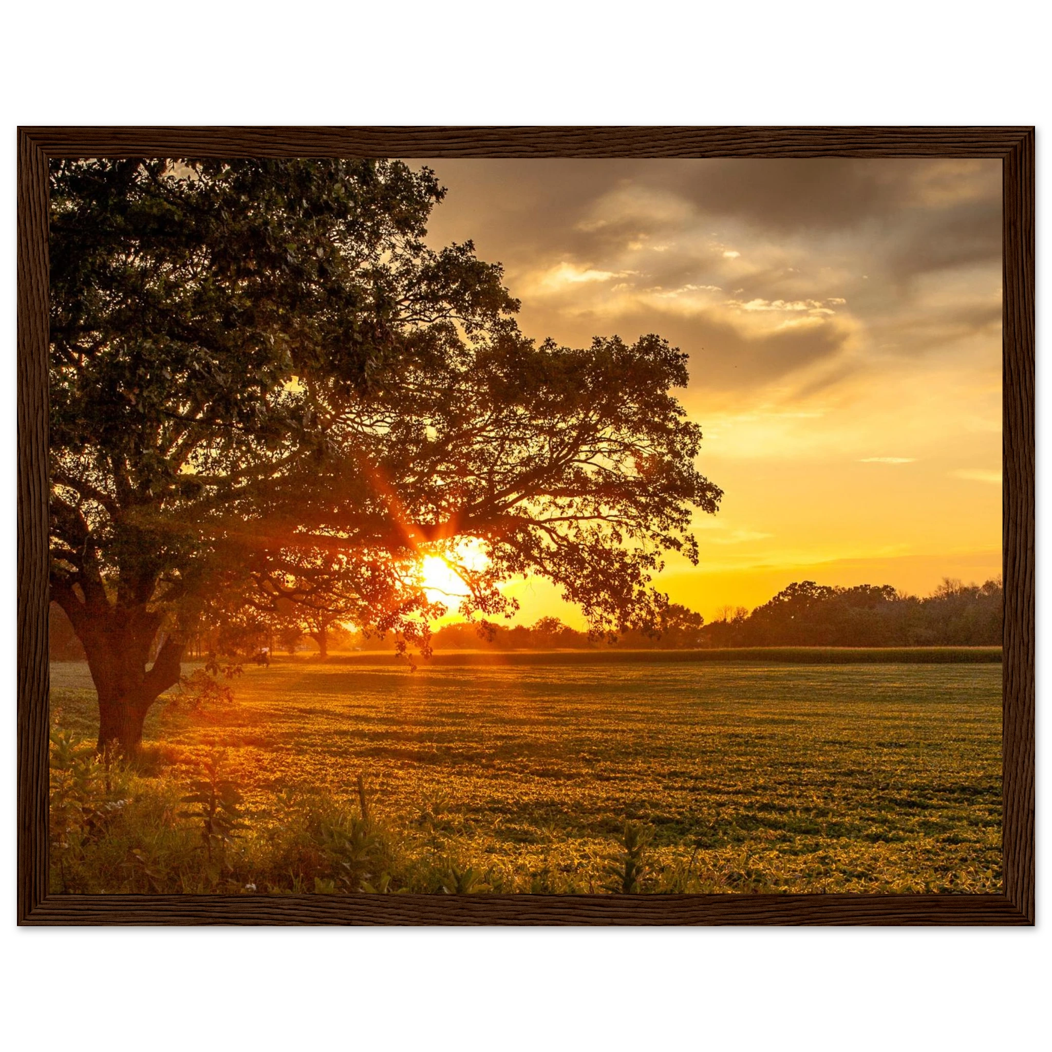 b1ff63fe-2f92-468c-87ce-ba4957cc9fa7