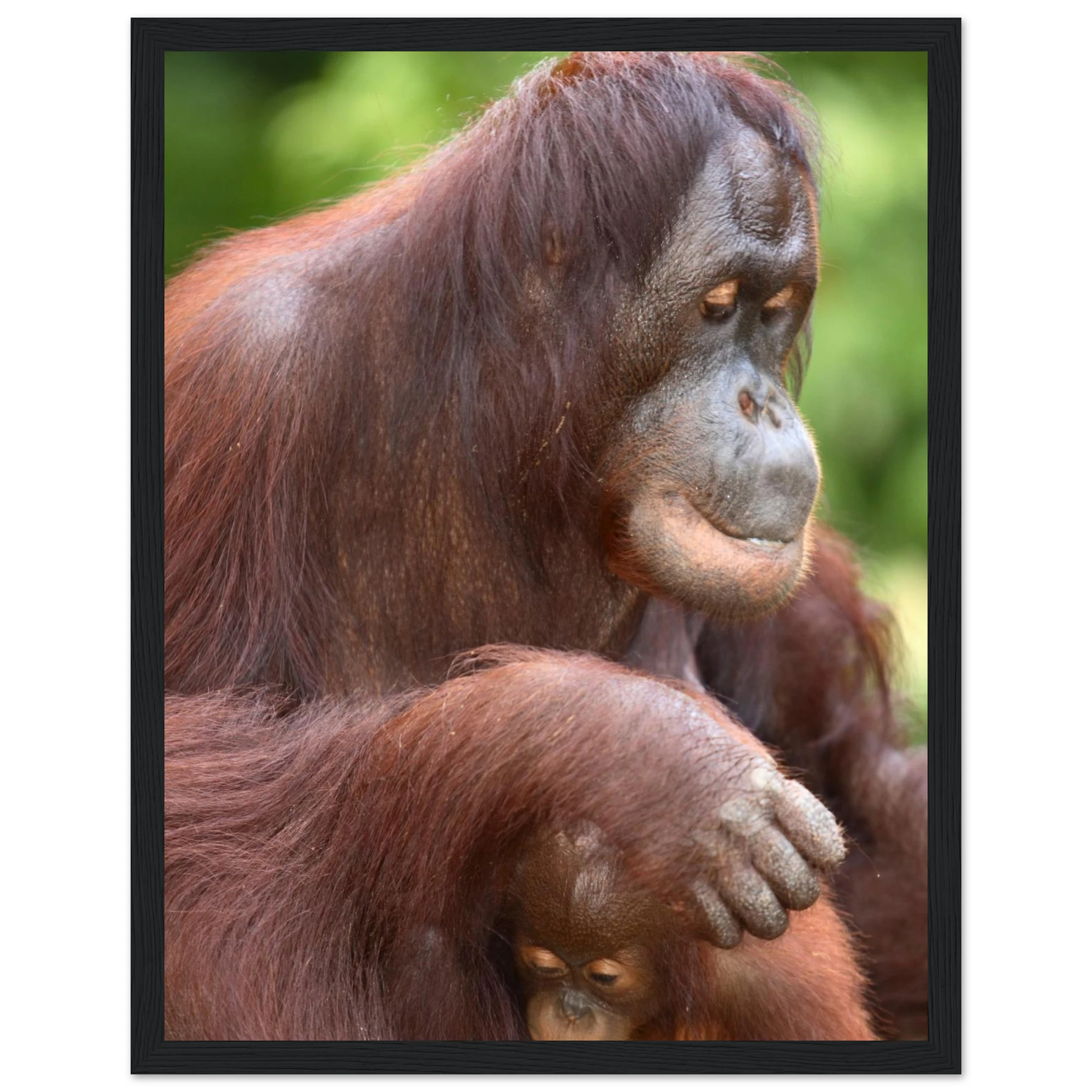 b200977e-003d-49a0-8080-91283bb3caa2