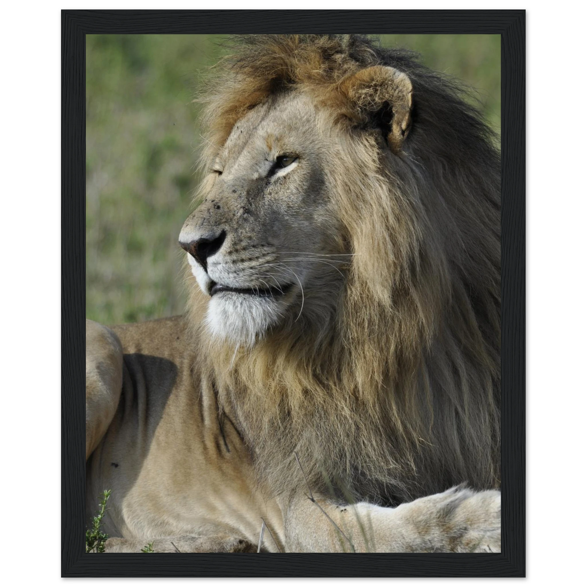 b202da94-1fc7-4dc6-beb1-f8ccfd69400d