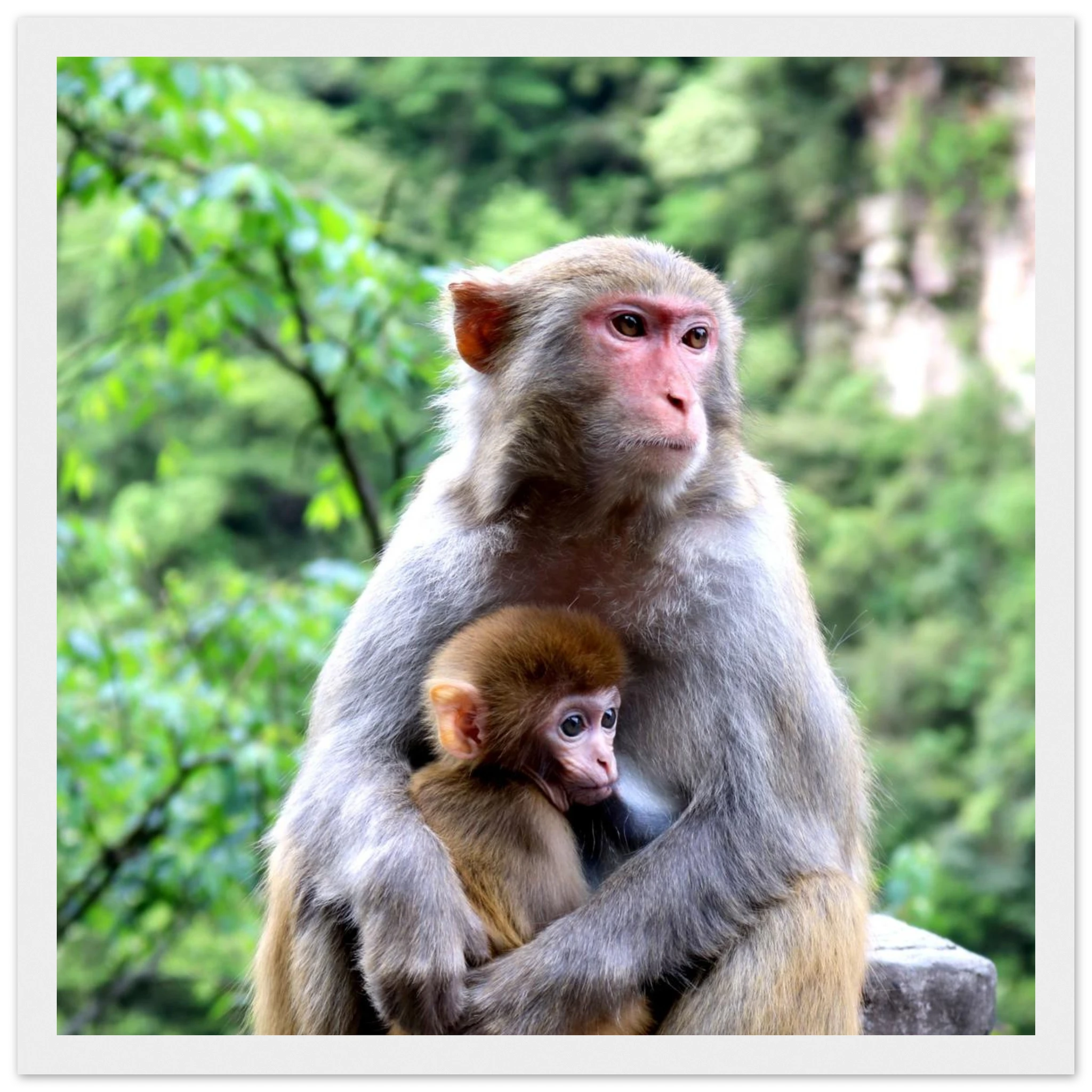 b2428408-3e8f-4a18-996f-d68dade3dcd3