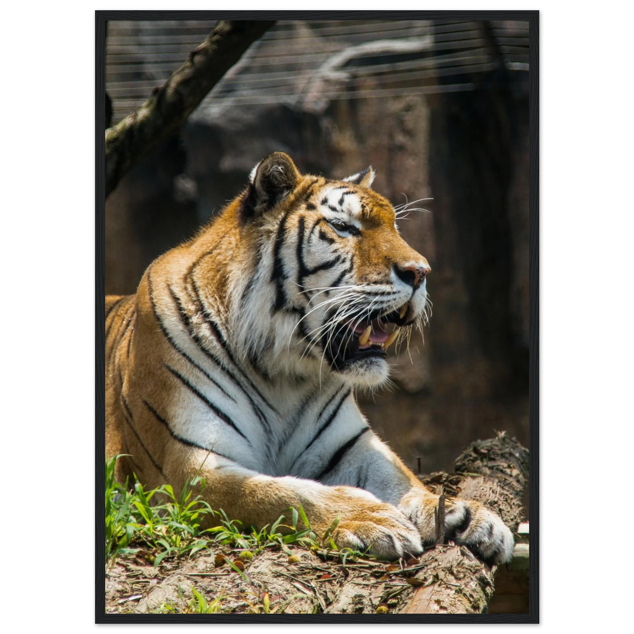 b247e310-fd8b-428b-9e13-b5075818469a