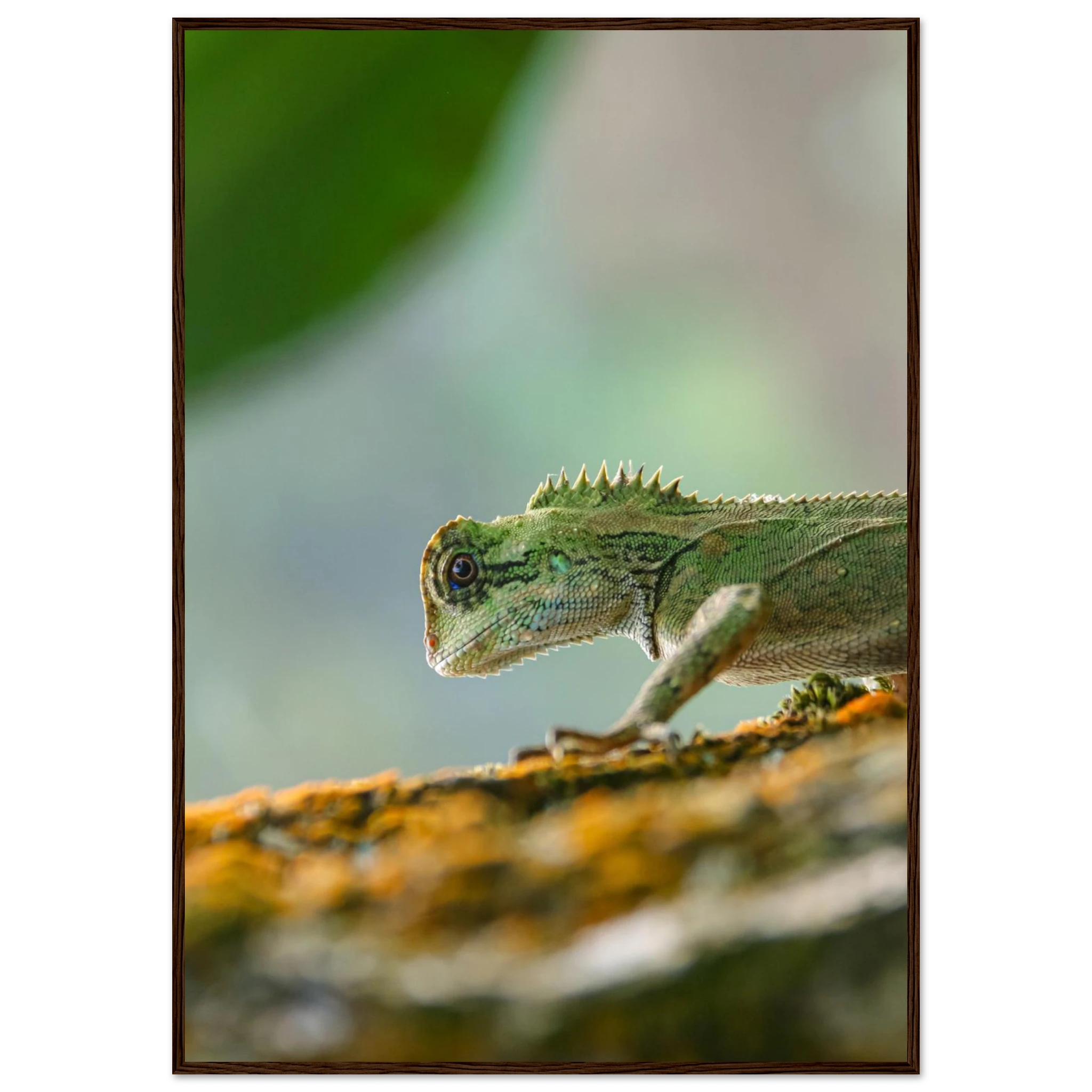 b27220d6-90a9-47ca-bfa5-406e609793d1