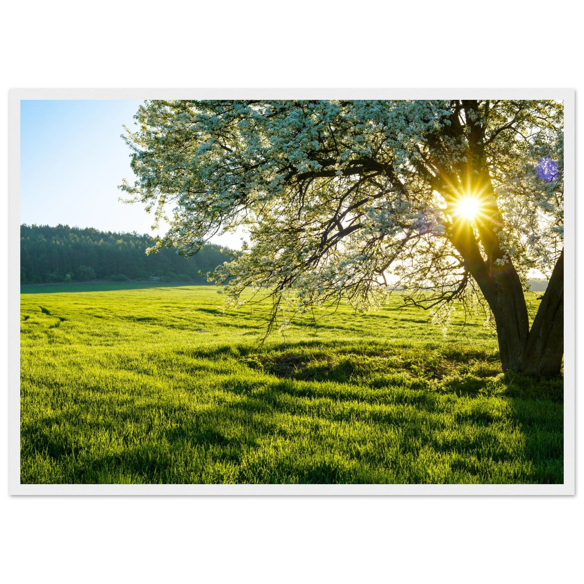 b296ab14-f2d3-43a1-9ed4-102e88fca6d0