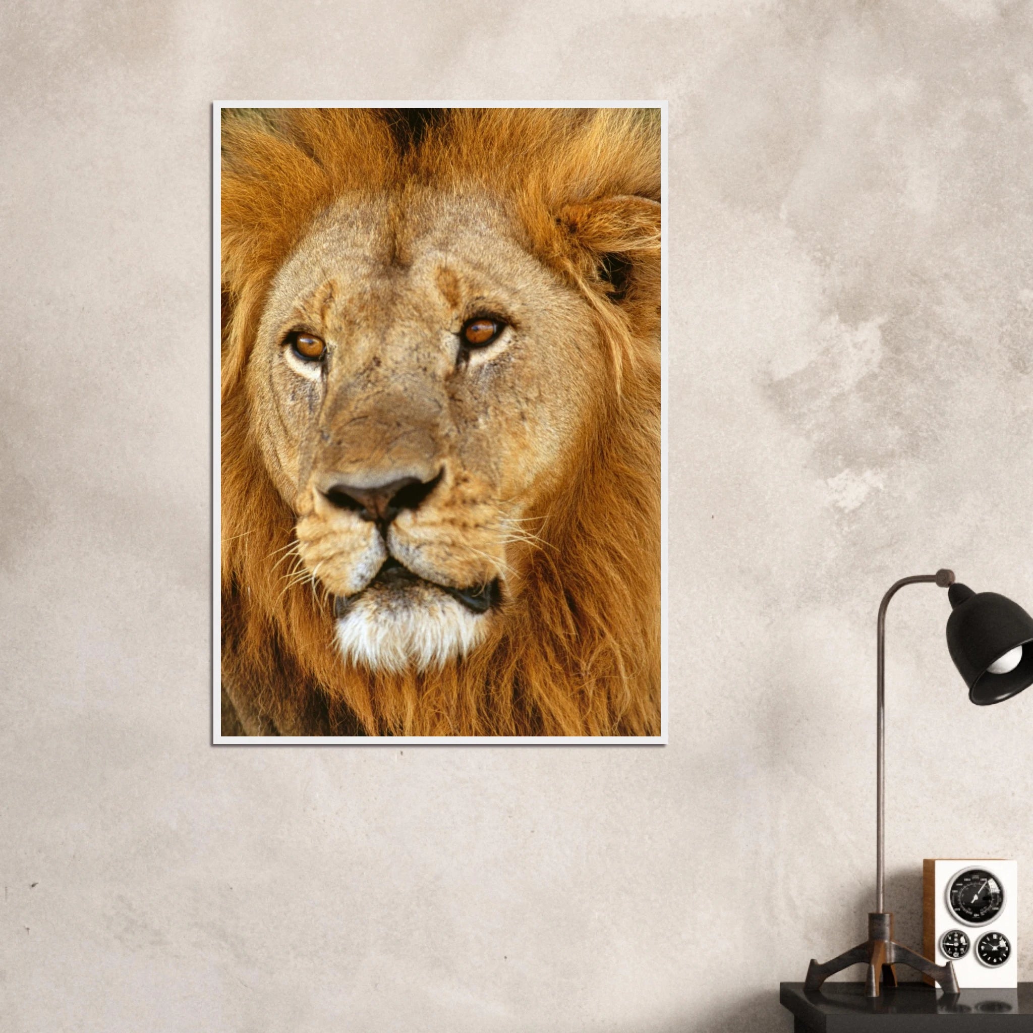 b2996159-e19d-4f27-afd1-20371a84fcad