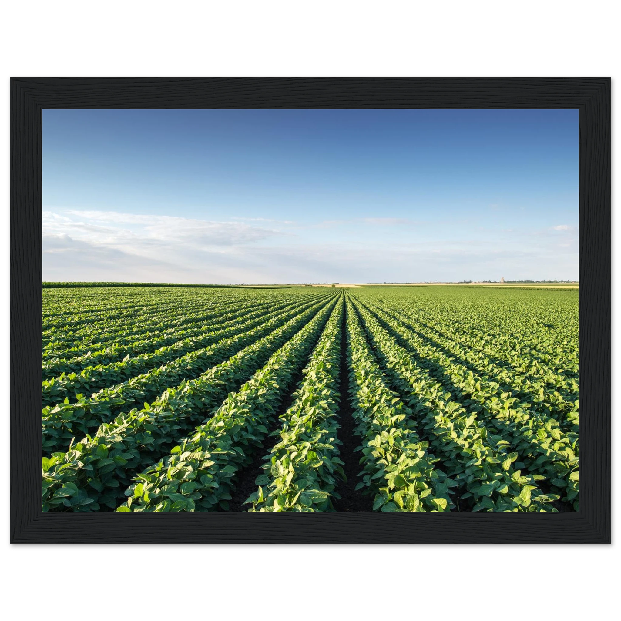 b2b588ef-9930-4de7-b78f-d718193b179f