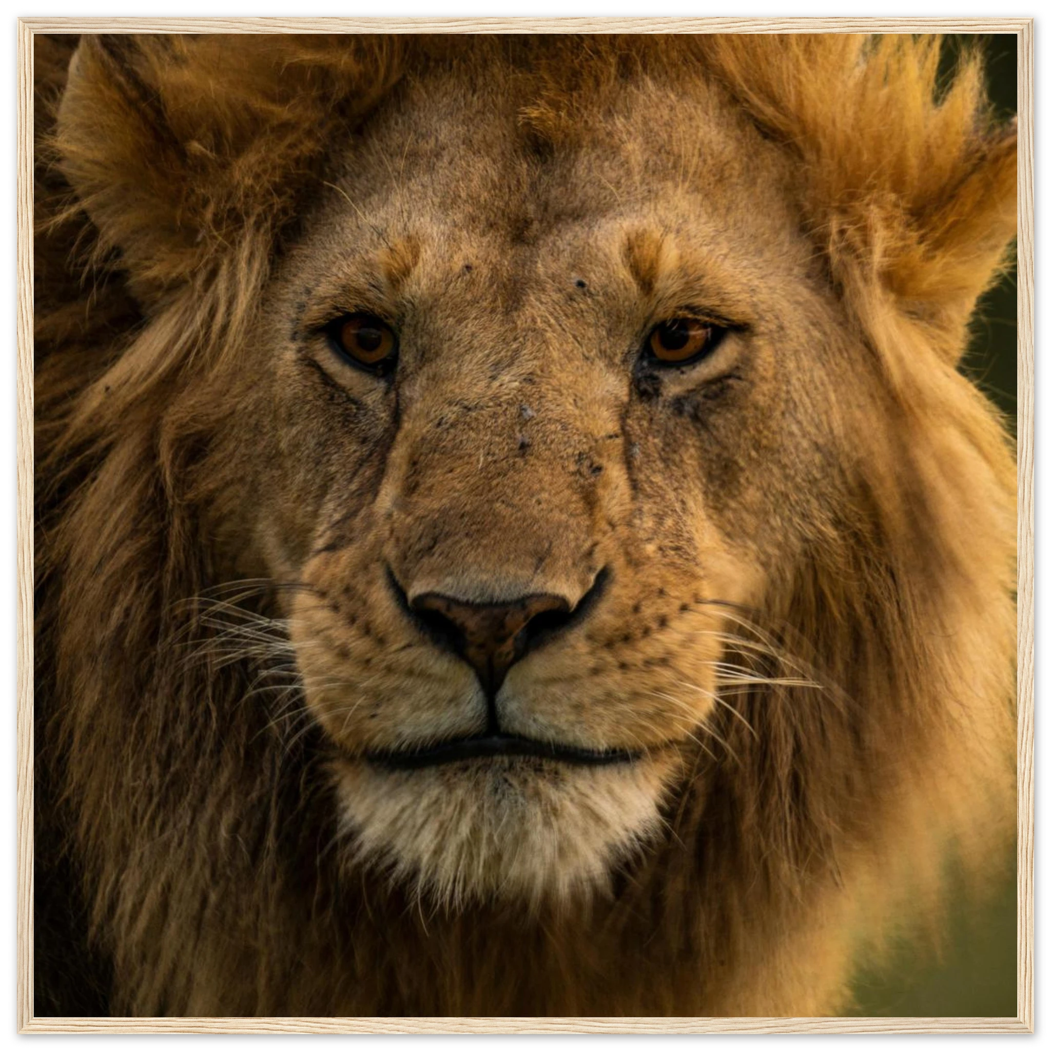 b2be1e68-95b5-4056-8cbe-2a0d36c36288