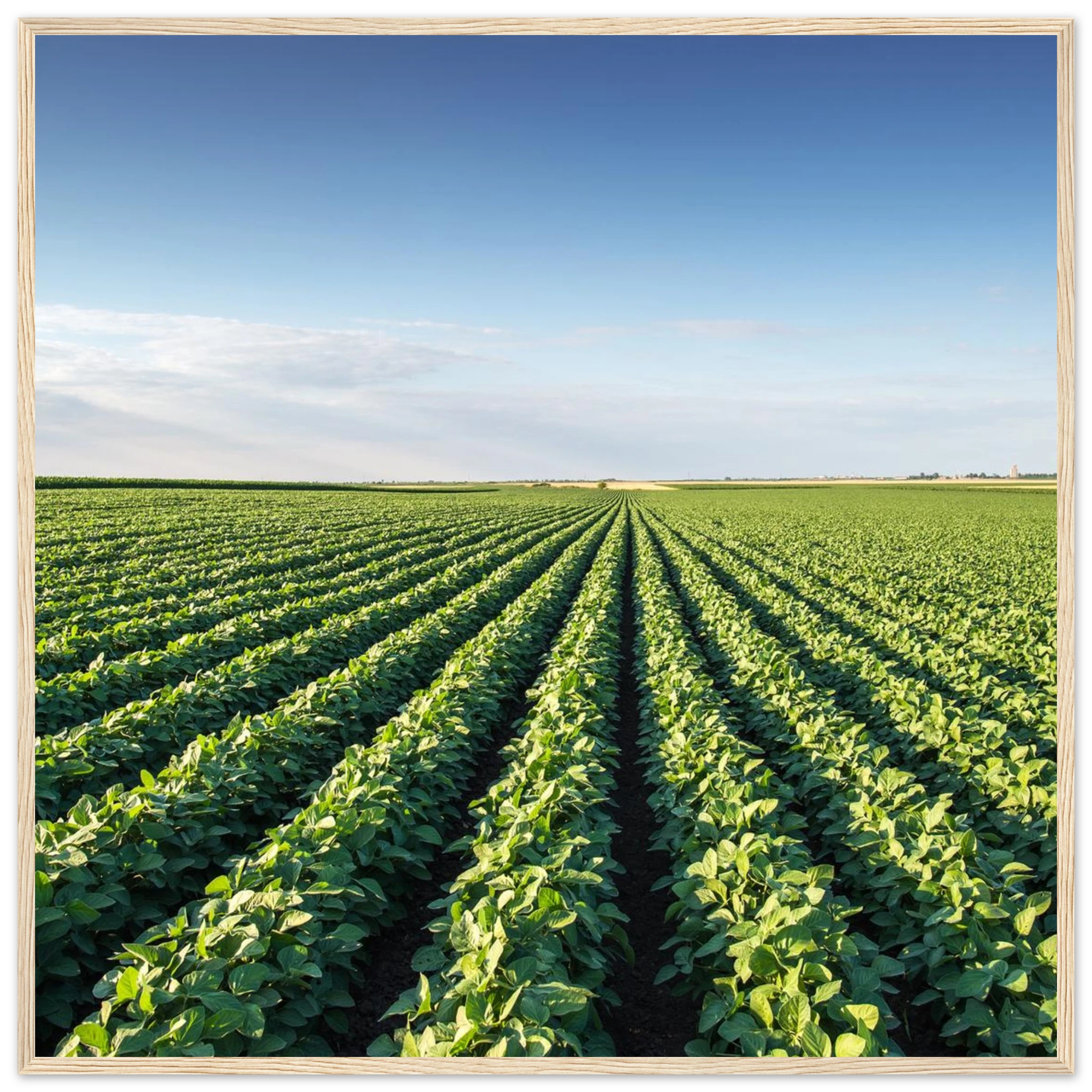 b2c36adf-8499-4560-a8d9-c95f4b1f285e