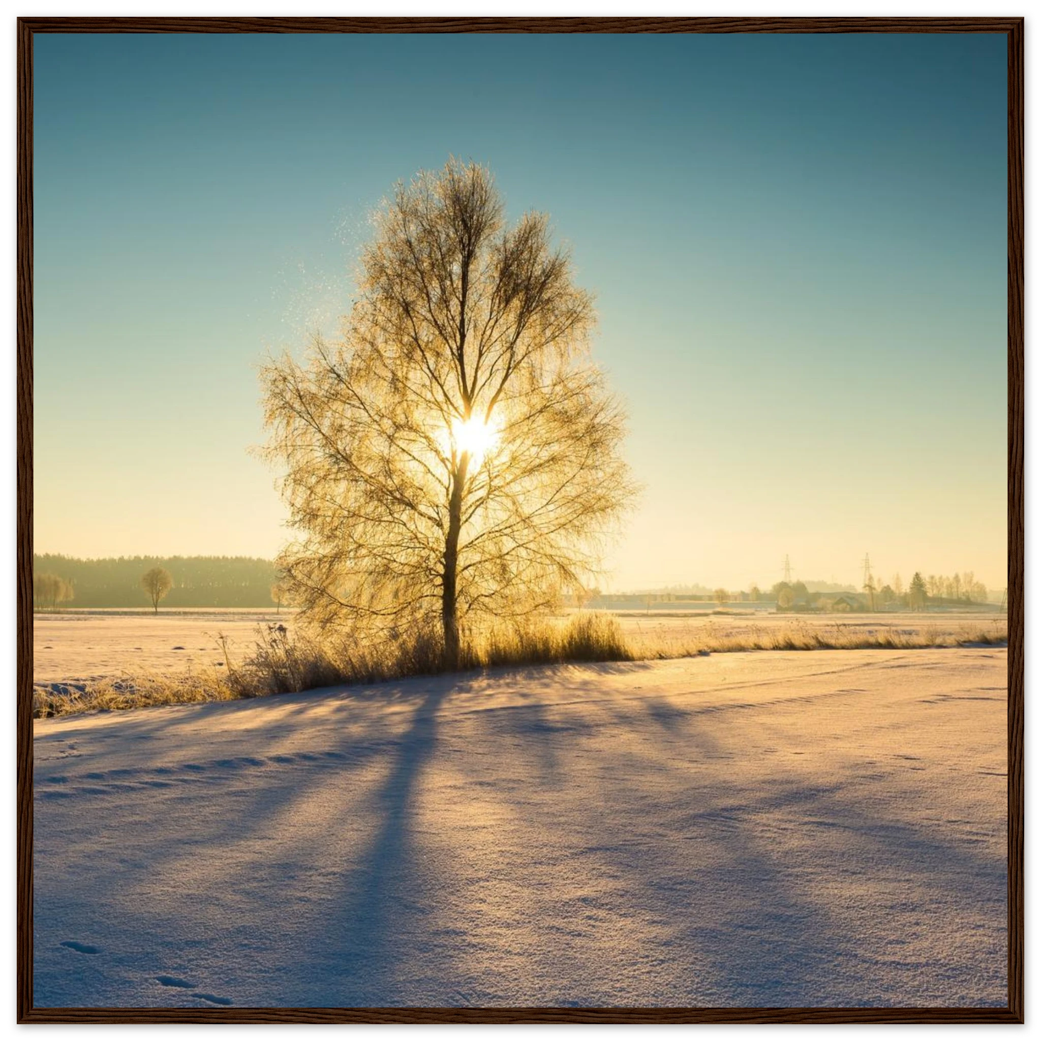 b2c97243-40a3-4bba-a780-9f5ebf80798b