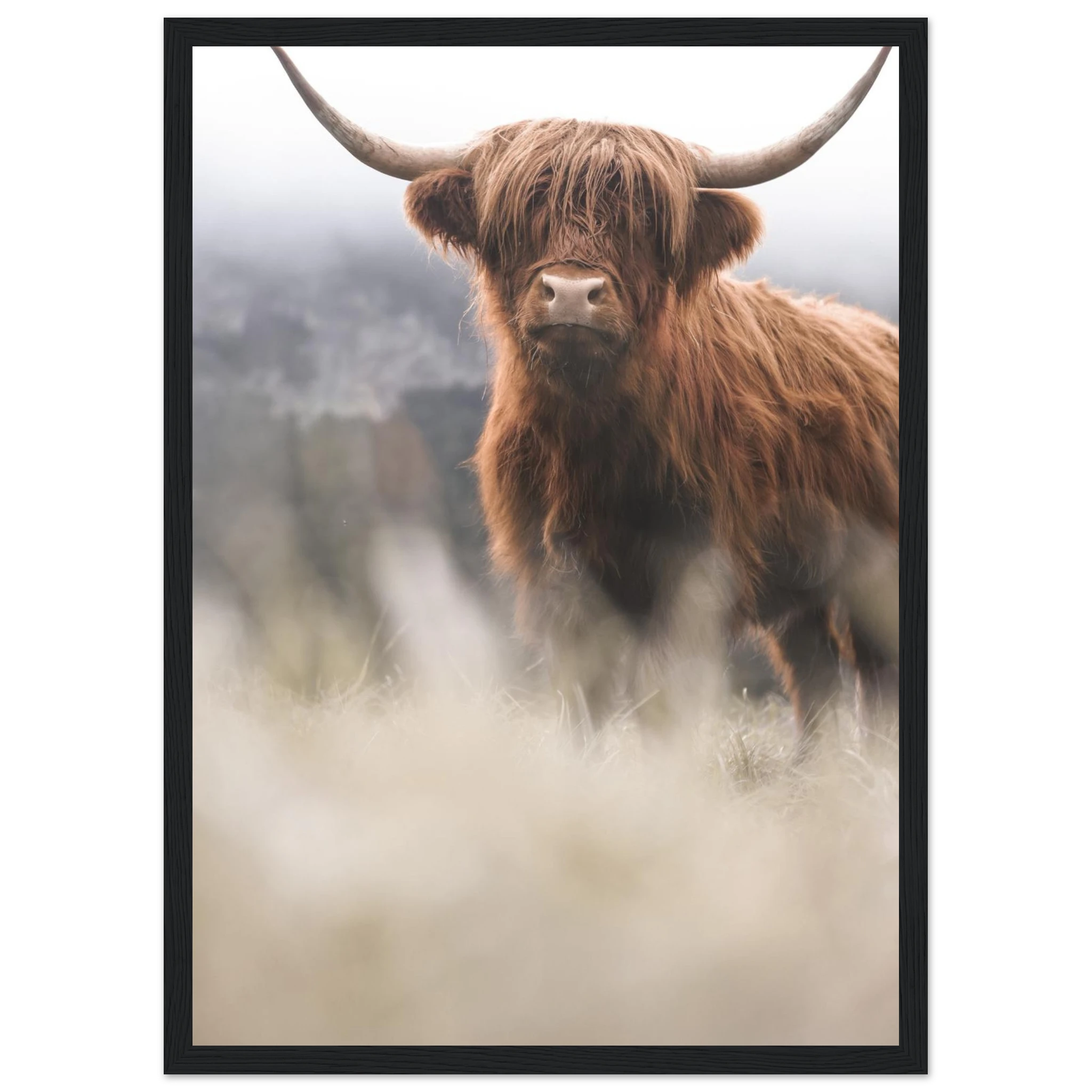 b2cdb40d-4957-4e4f-9d2f-f67afc72c463