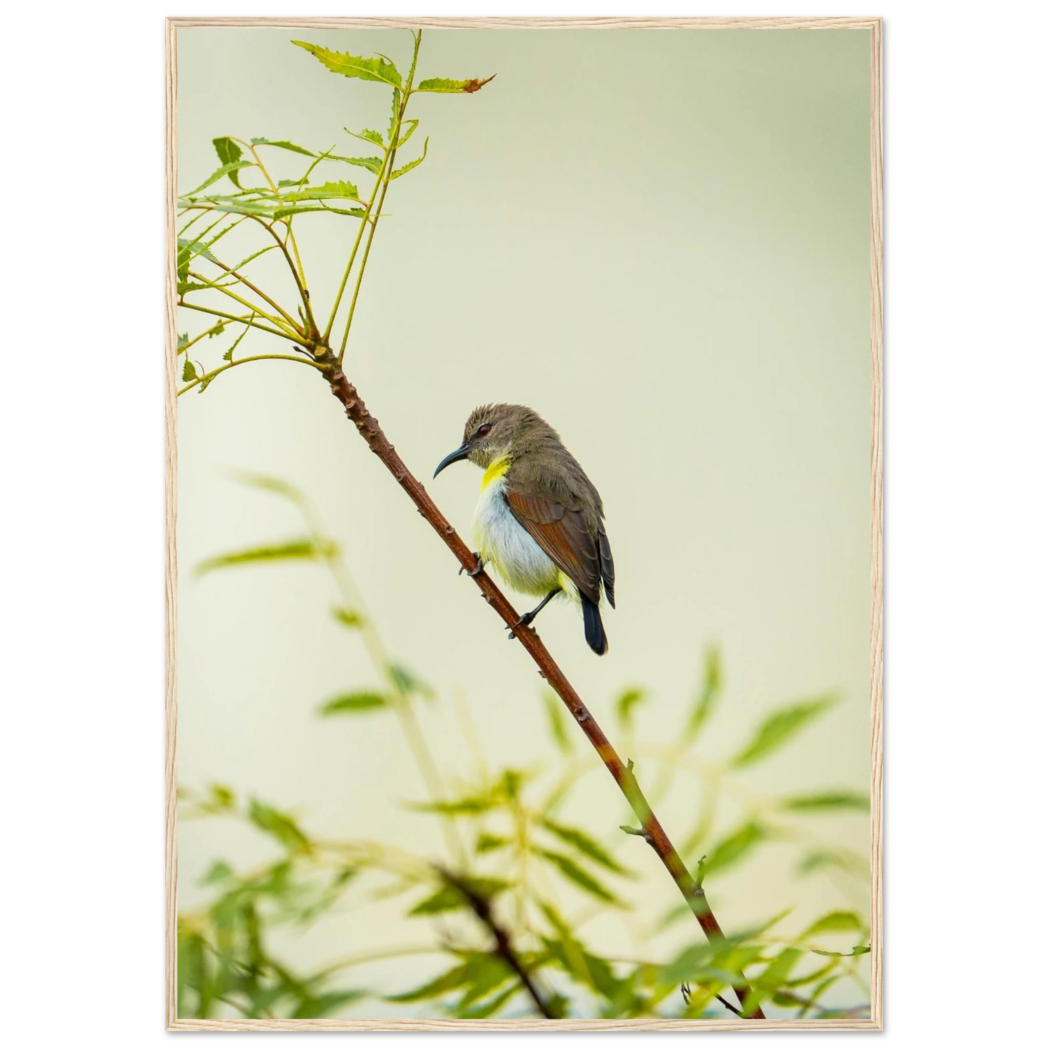 b2e67d00-98f1-41be-b63c-5fc64d7e9bd3