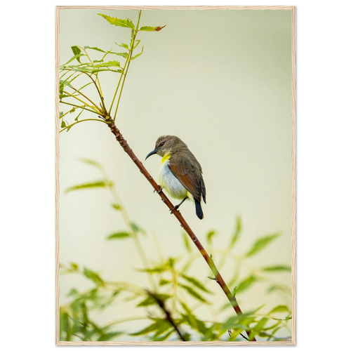 b2e67d00-98f1-41be-b63c-5fc64d7e9bd3