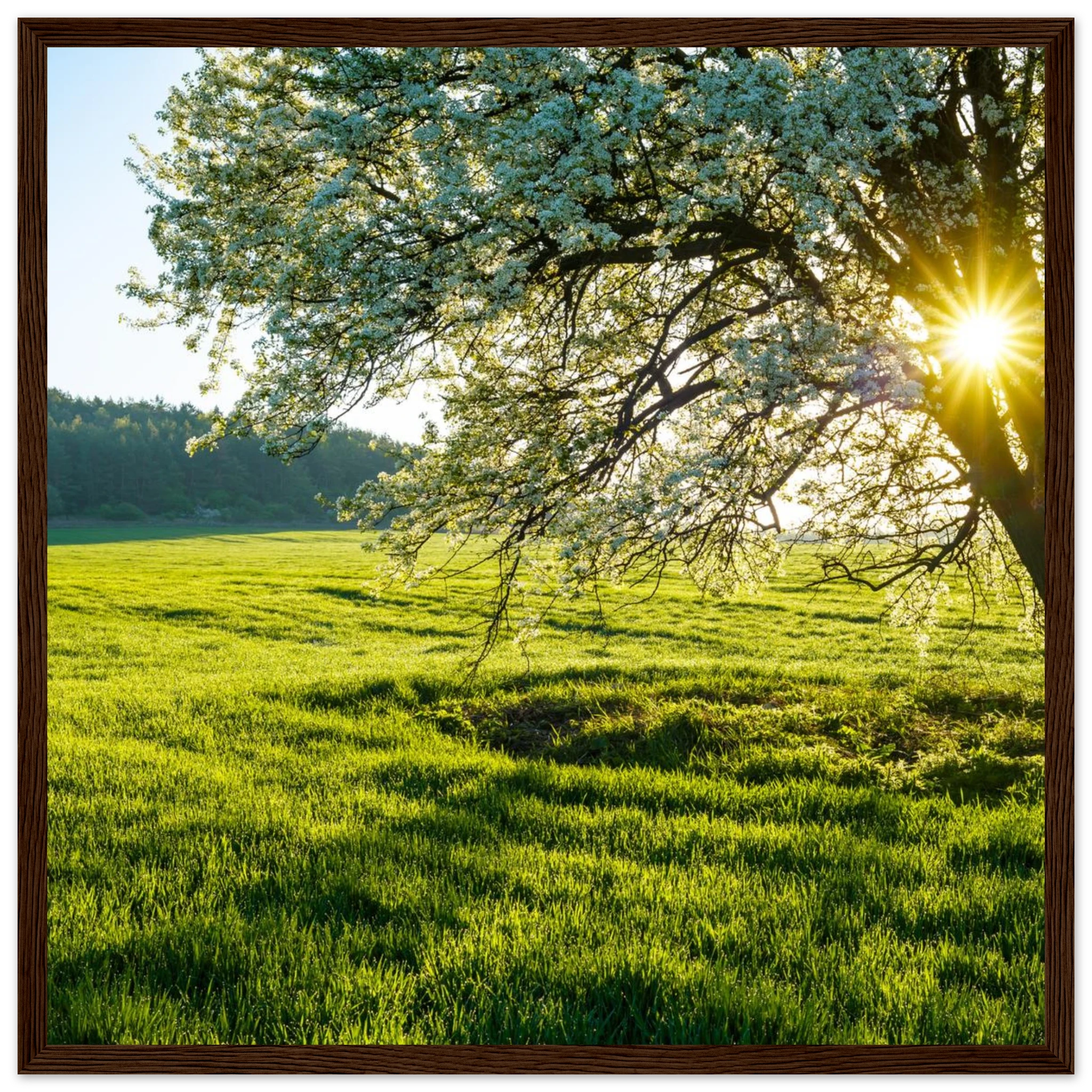 b309a763-34fa-48ad-ae9c-0bd7dcaa1da9