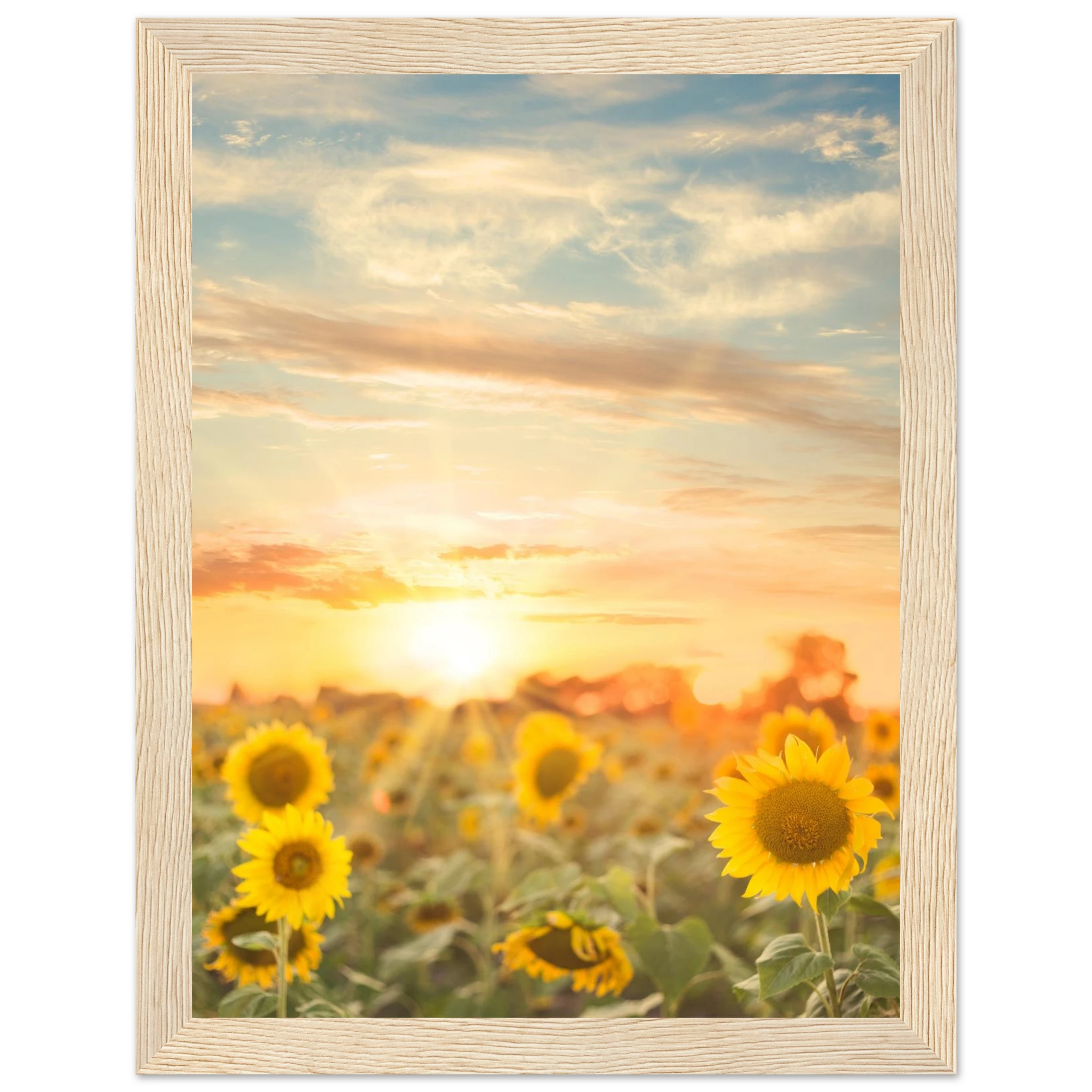 b31db7e6-c6c4-4da4-8cc4-68c4f9c789a1