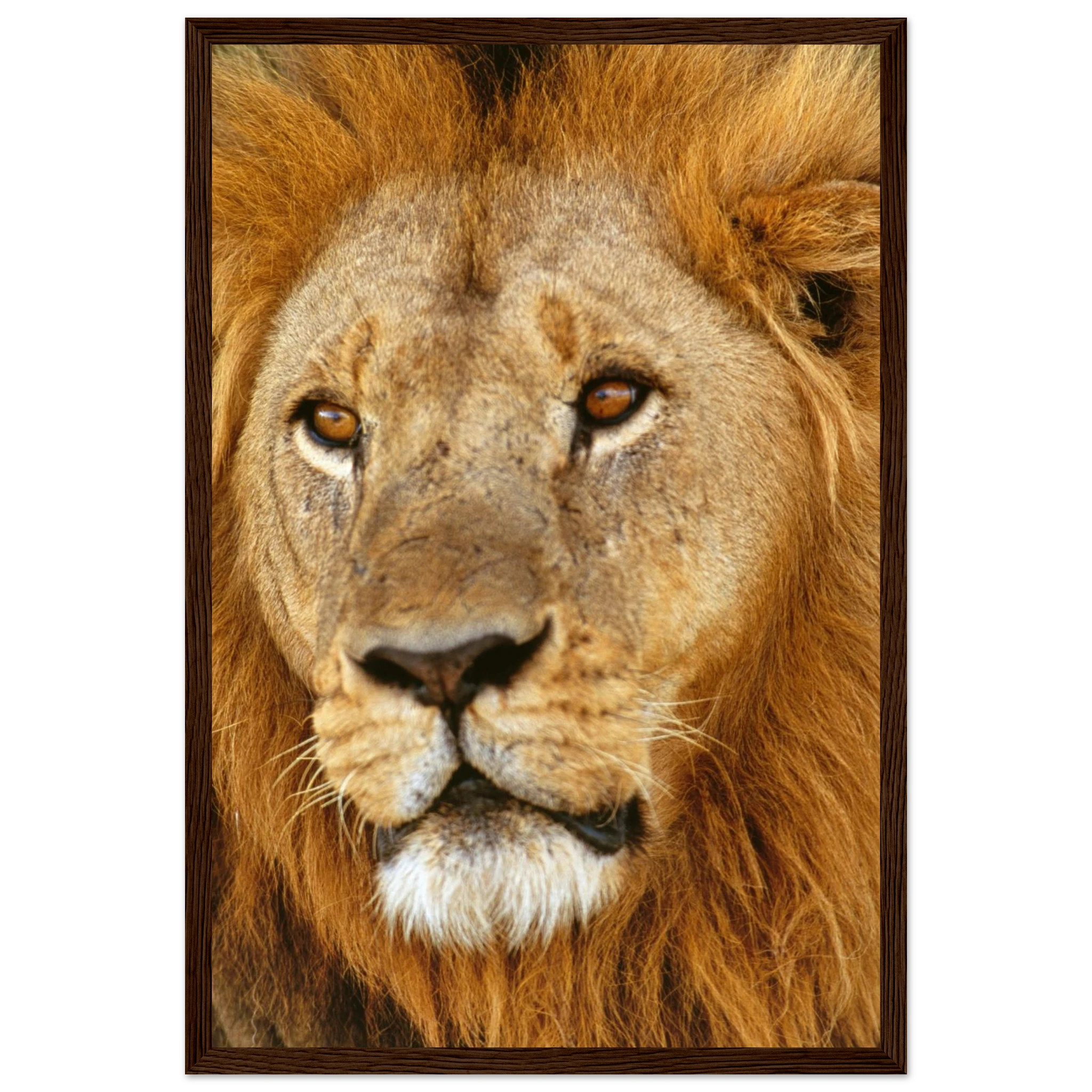 b31f2f19-c19e-4e75-9edd-6c05b5a96dfe