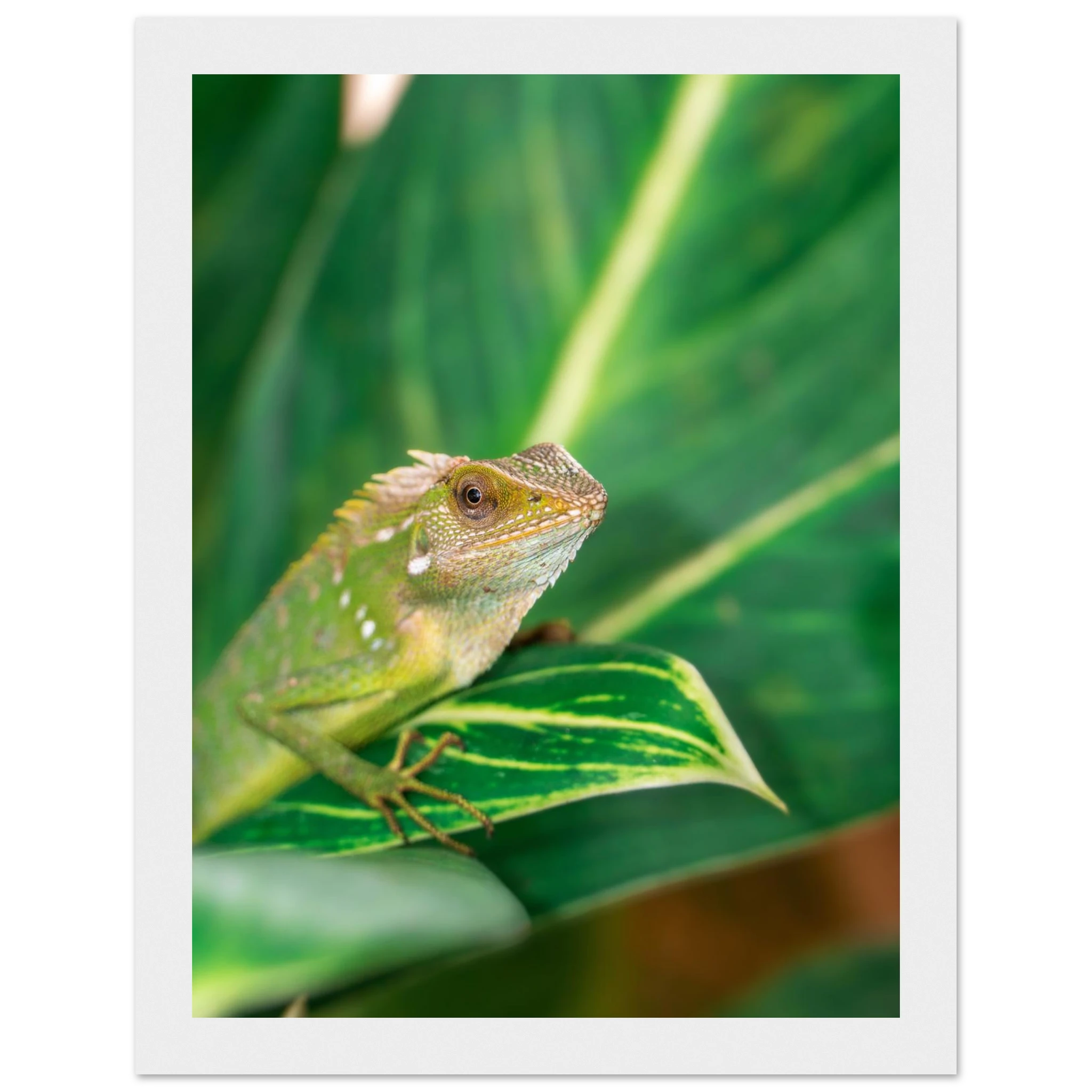 b324e648-a19e-4905-8688-b5a563a48be1