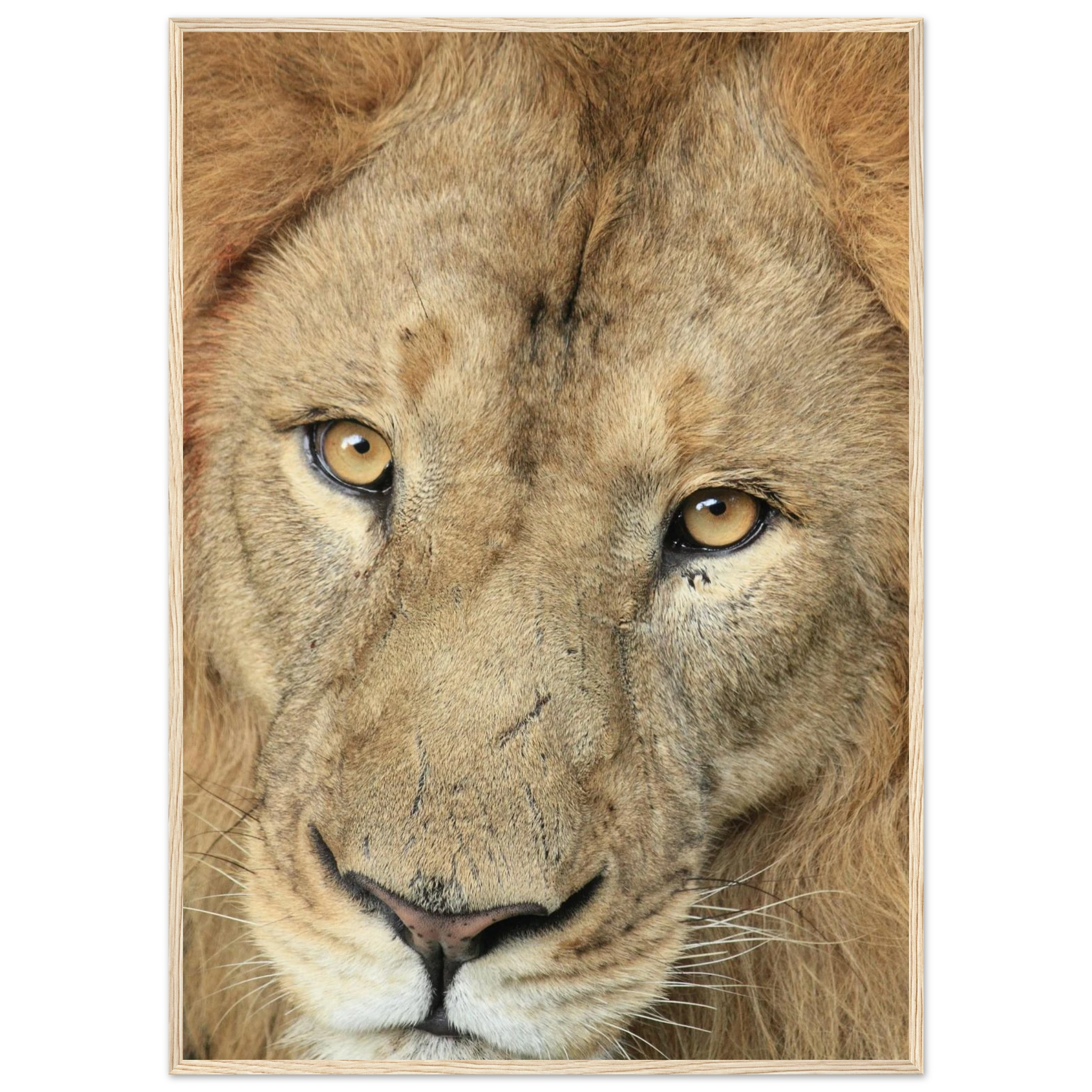 b32badeb-3e95-4d09-a40e-1e7f54b0f56b