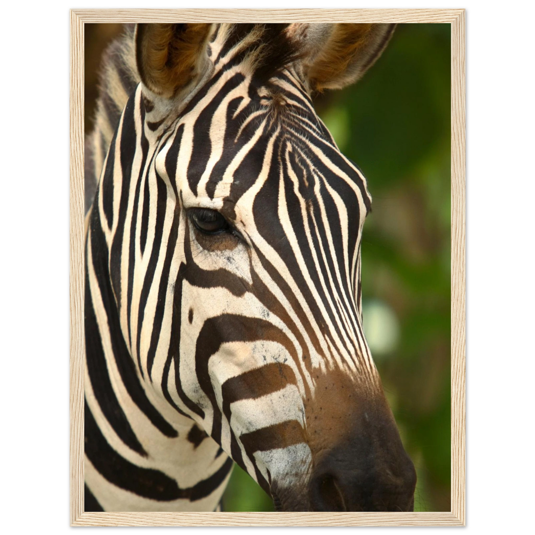 b3700b6d-a0ae-4e82-bdfa-5b5f0a4b4915