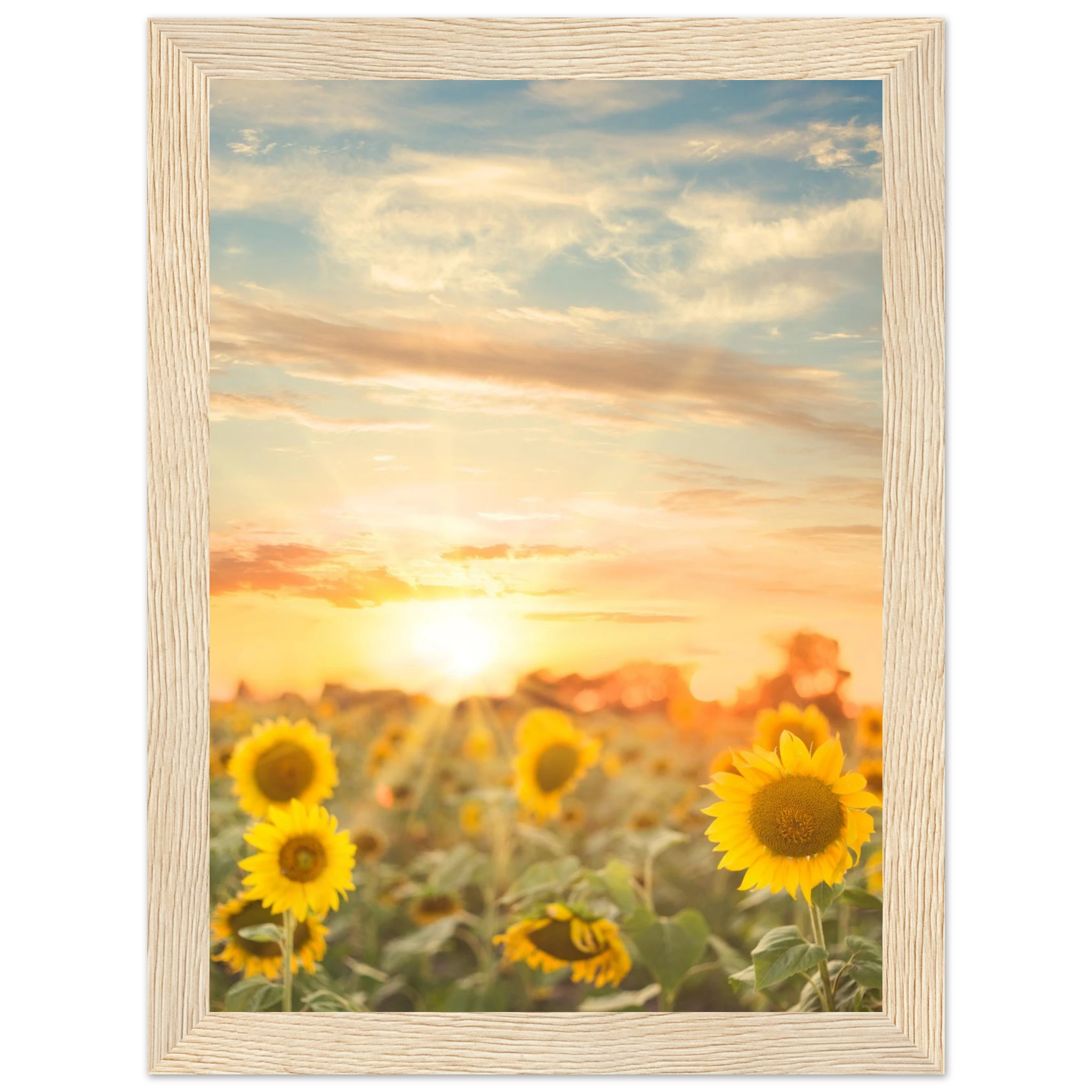 b3708169-6168-4f8f-9224-abc225d68963