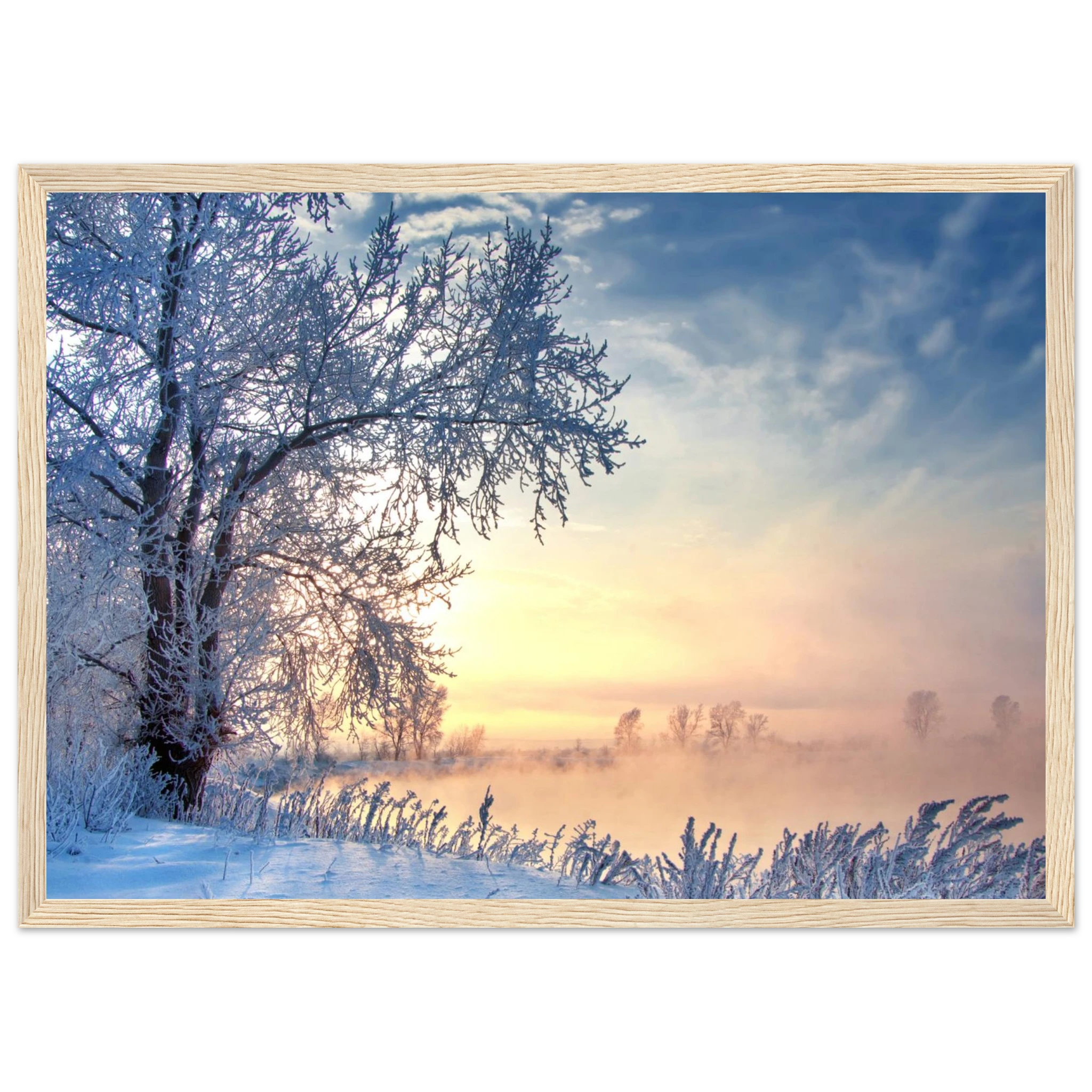 b387dc75-91ba-4577-81ca-e7b6626b1def