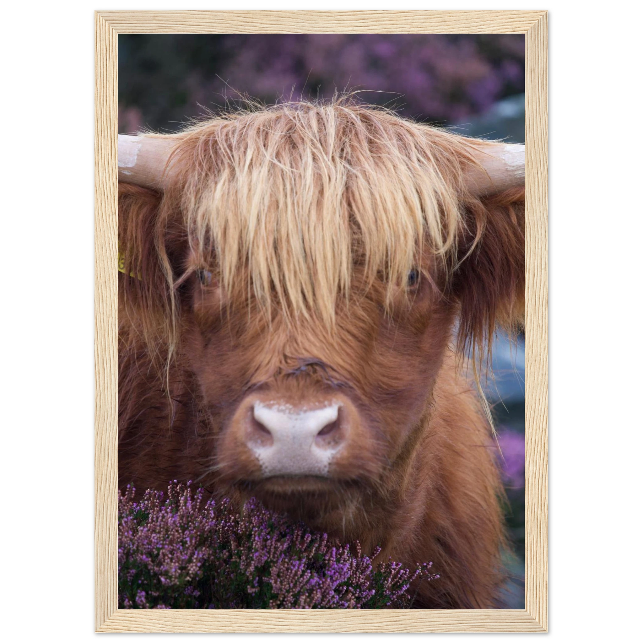 b3938996-d183-4f0a-8b91-98bcc7d3591f