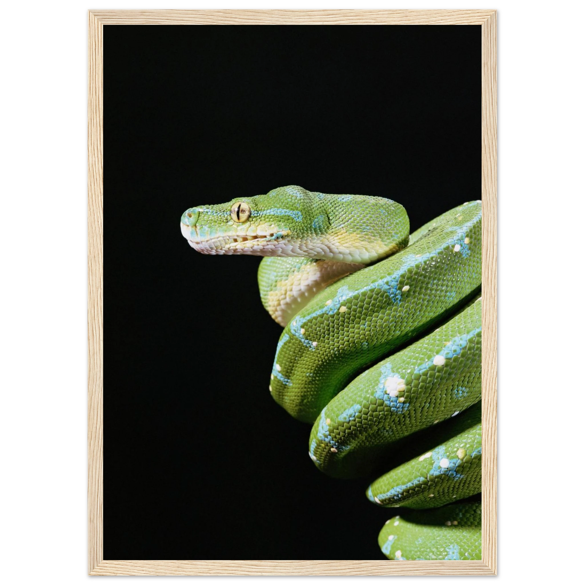 b39e0c12-d4df-4188-902e-9869370679f7