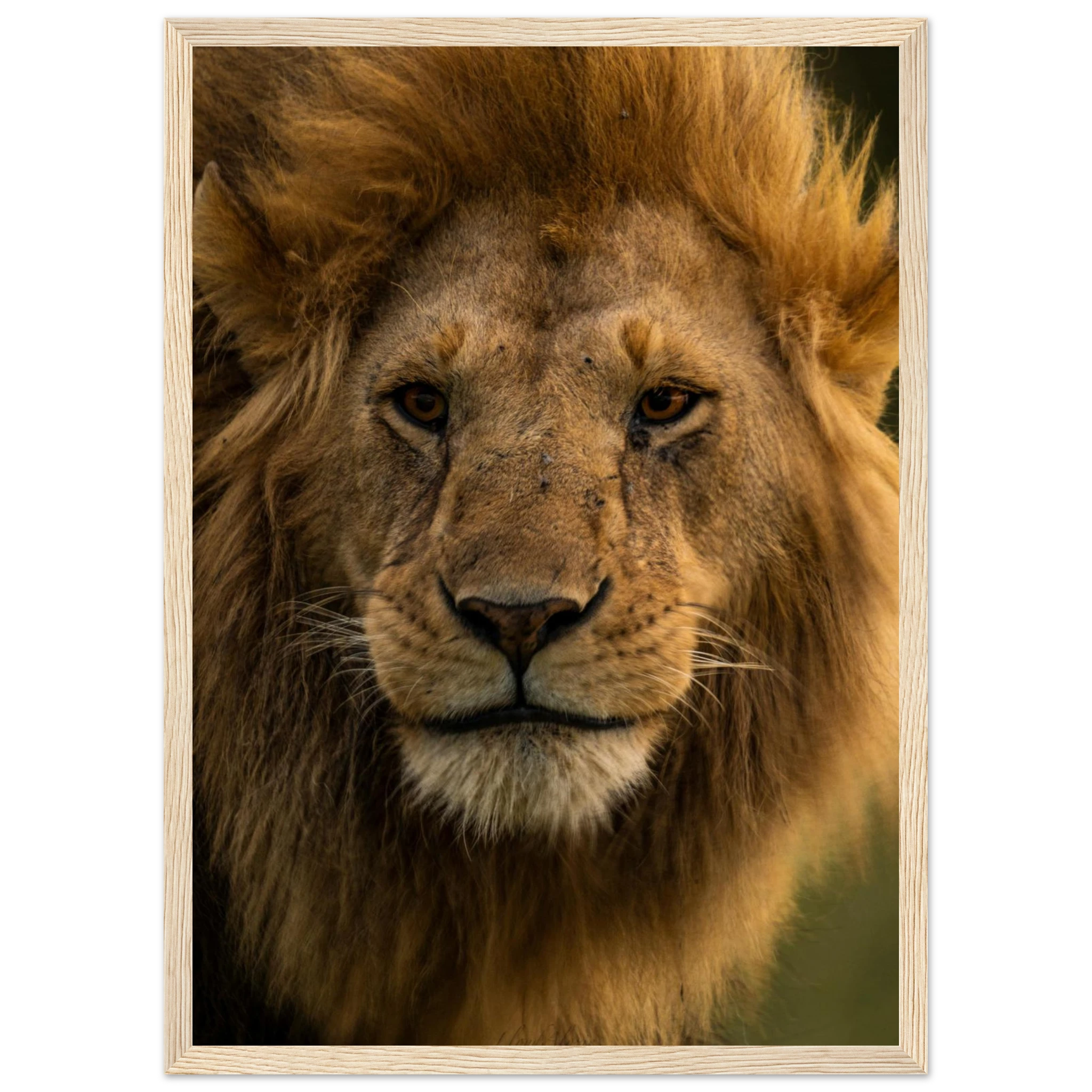 b39e278d-38b0-48a7-aca3-0f182016226e