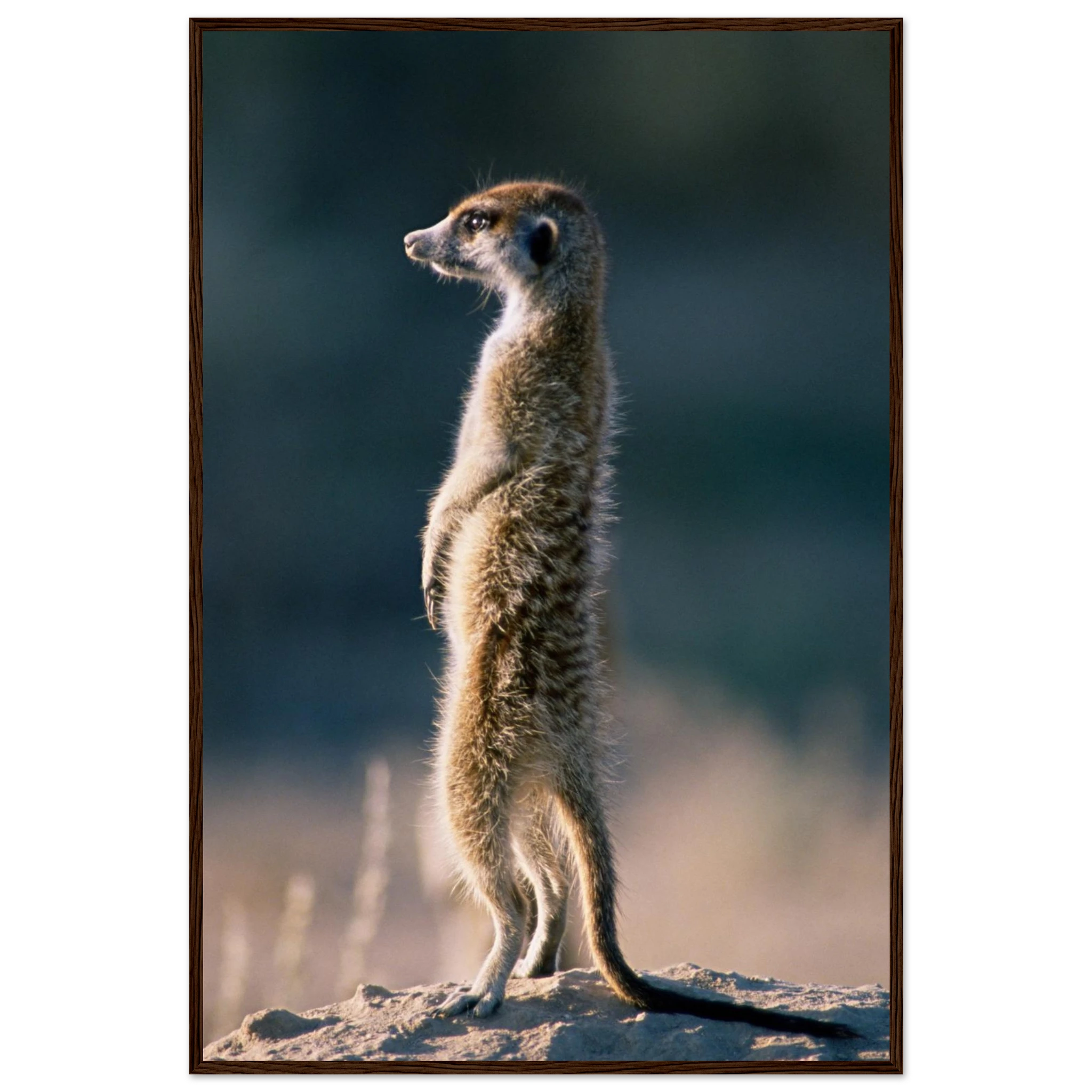 b3b88ef6-3d6e-412f-be37-9a087b9595be