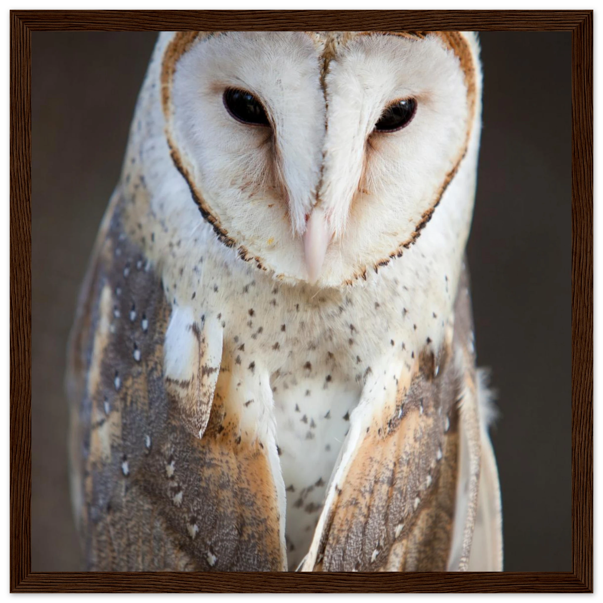 b4094ddc-8b83-4382-a1a6-c6c8d29f8d8f