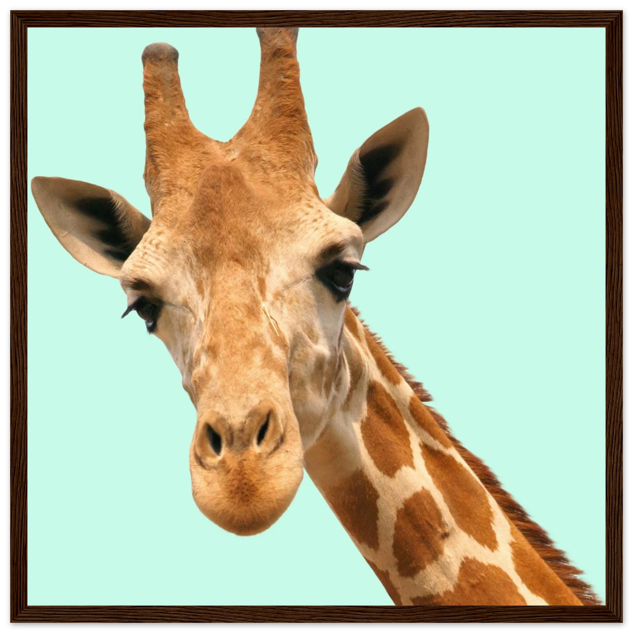 b40abb80-ac30-4175-aea9-791e98af83c7