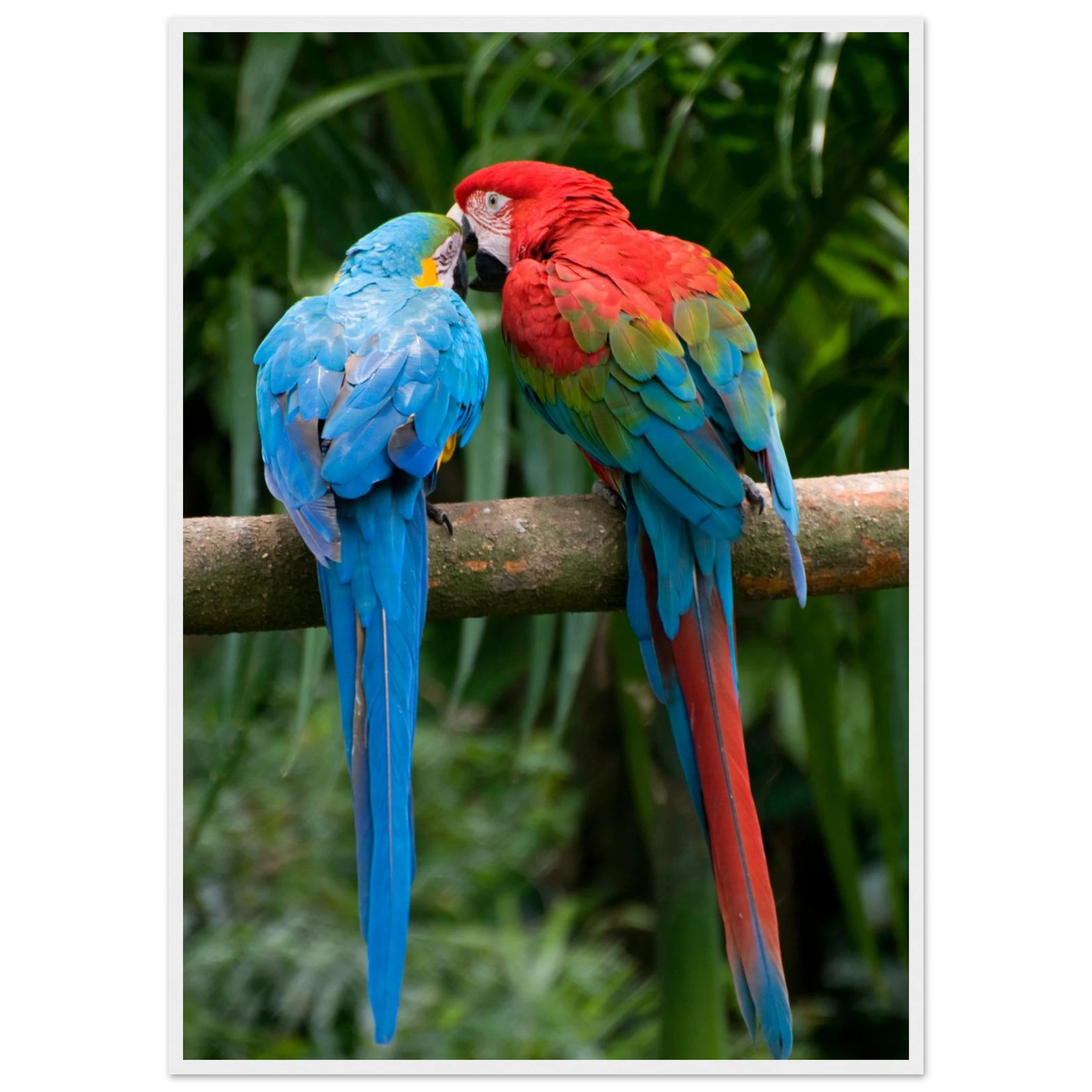 b40cb588-cab9-4400-b575-b222fdb7accd