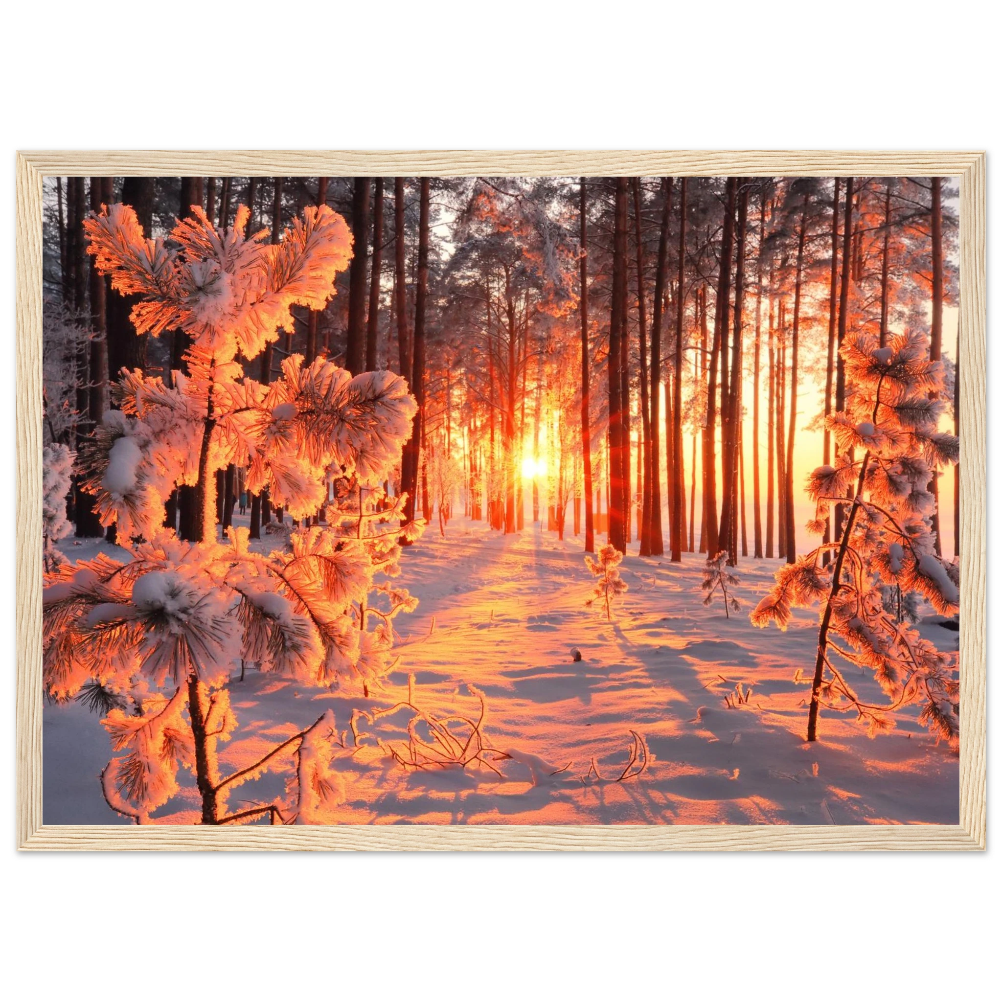 b414e588-aee5-479b-8fff-8119ce0c039a