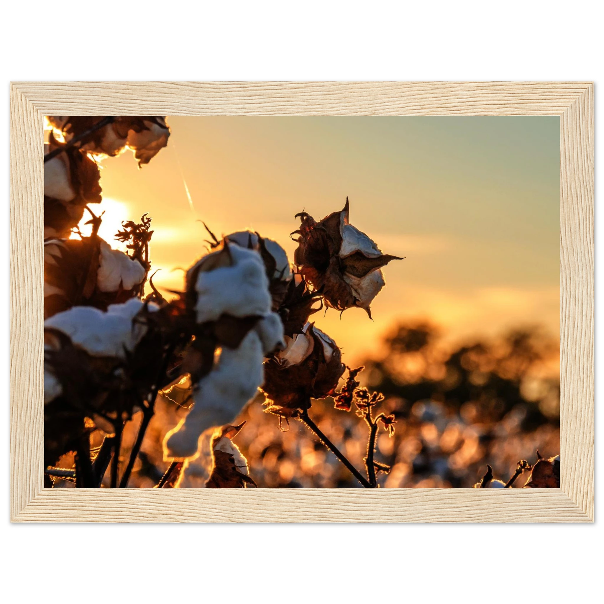 b42fc37c-2d8e-4e49-83d8-008307e26cf9