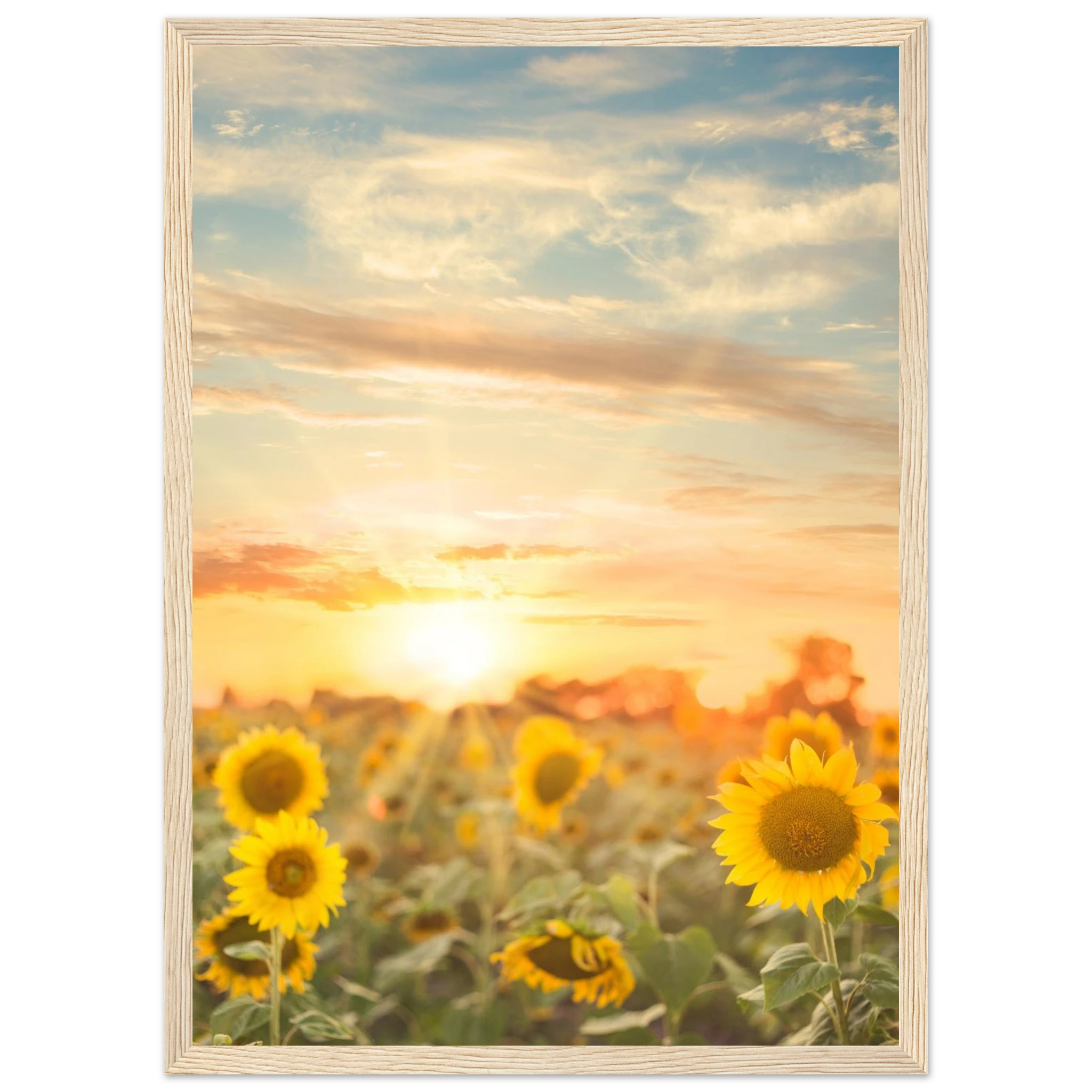 b4303b93-4e7c-4363-829c-bc18a4d4268f